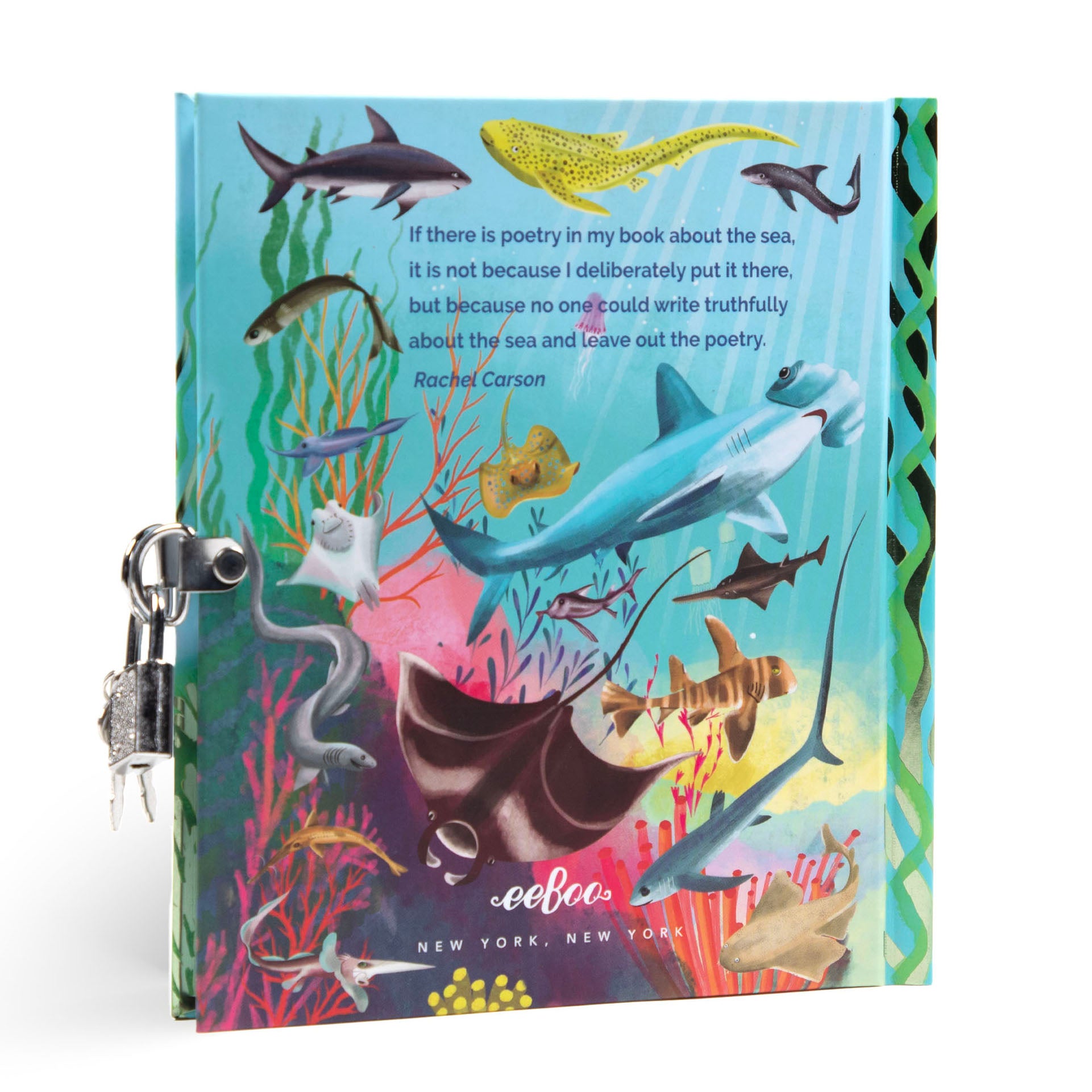 Sharks and Friends Journal | Unique Great Gifts for Kids & Adults