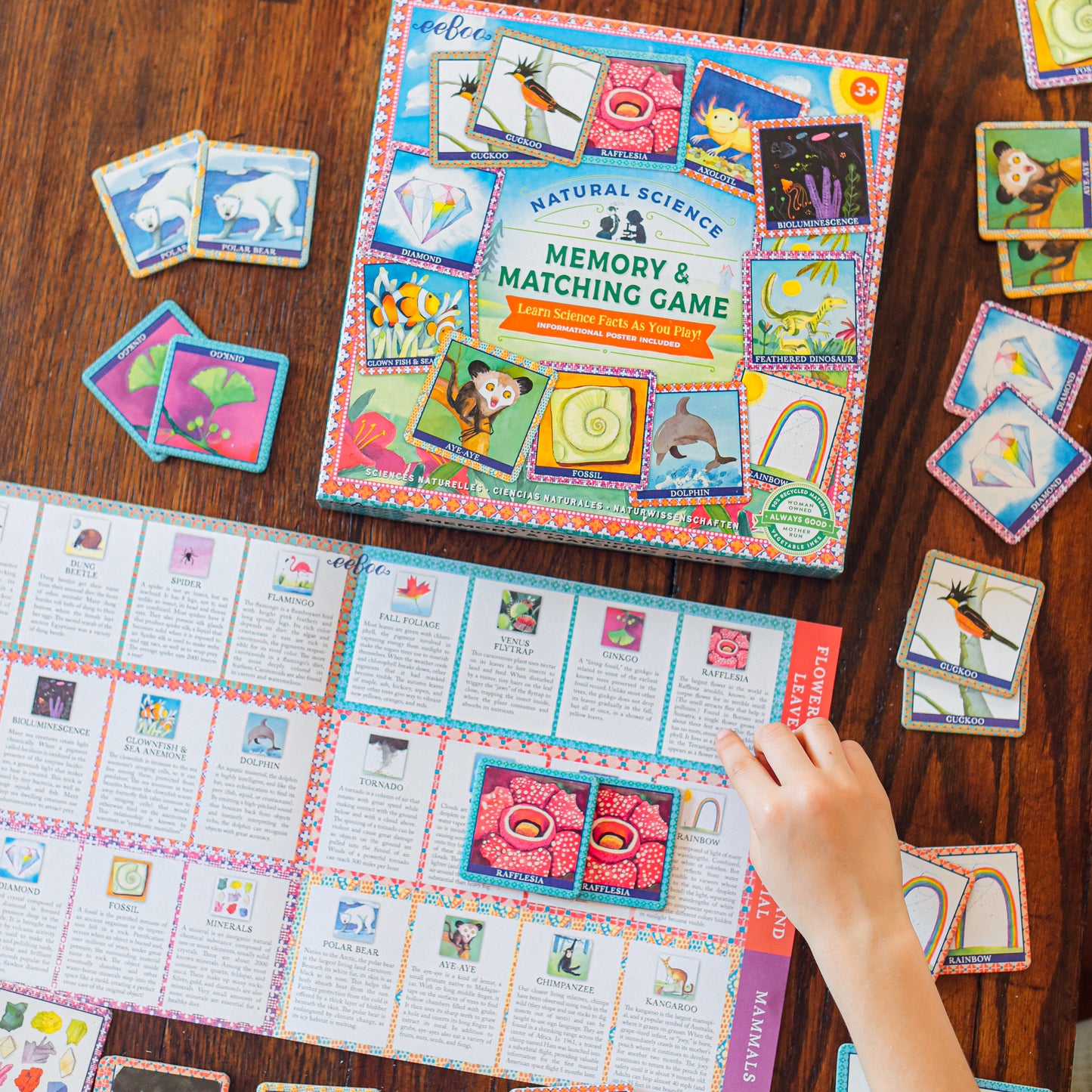 Natural Science Earth Facts Memory and Matching Game eeBoo for Kids 3+