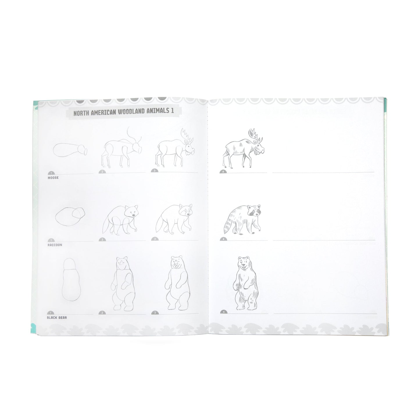 Learn to Draw Wild Animals by eeBoo | Unique Fun Gifts