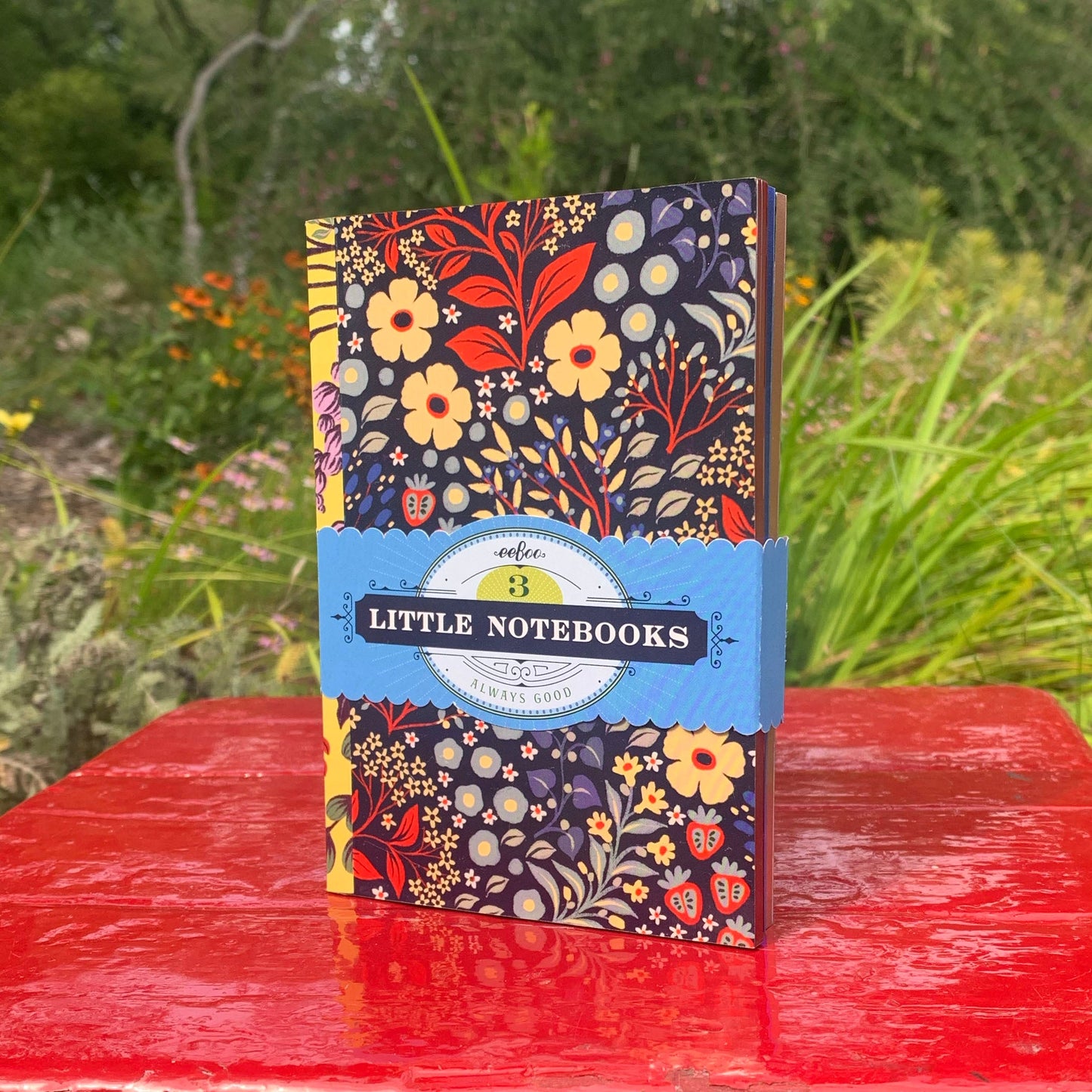 Shelley's Little Book Set by eeBoo | Unique Fun Gifts