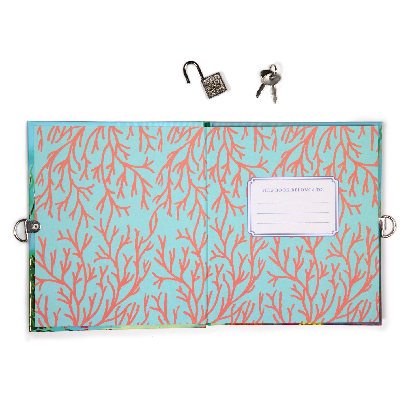 Sharks and Friends Journal | Unique Great Gifts for Kids & Adults