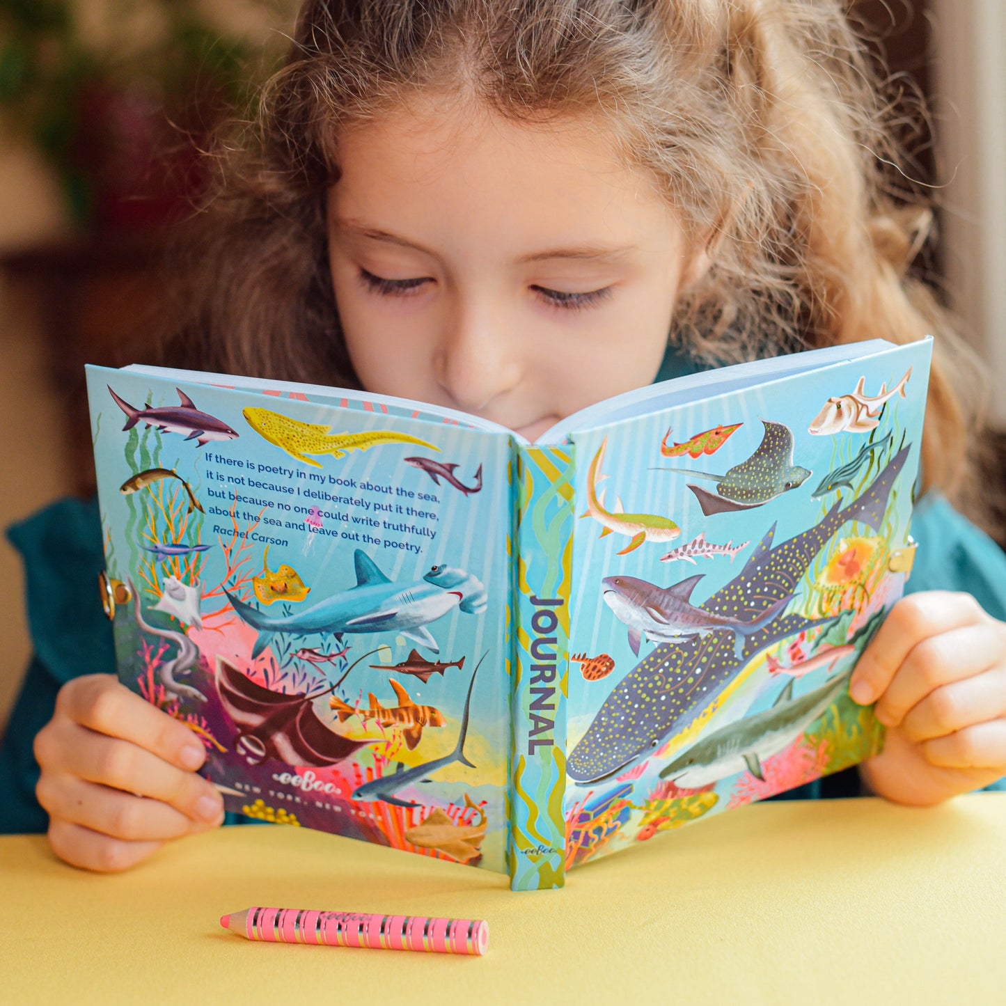 Sharks and Friends Journal | Unique Great Gifts for Kids & Adults