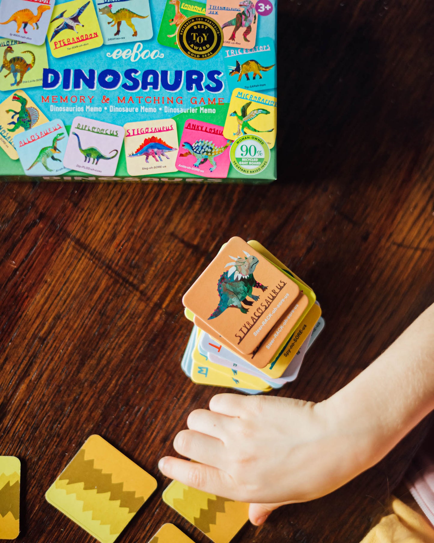 Dinosaurs Little Memory and Matching Game eeBoo