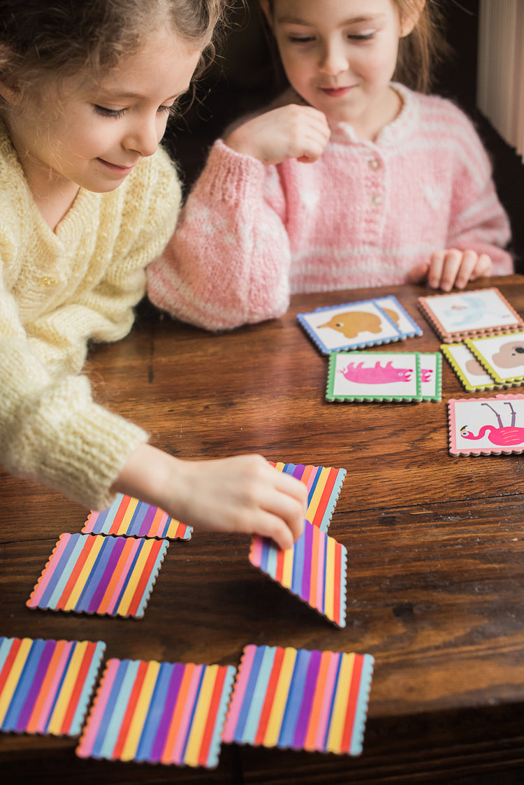 Pre-School Animal Memory & Matching Game