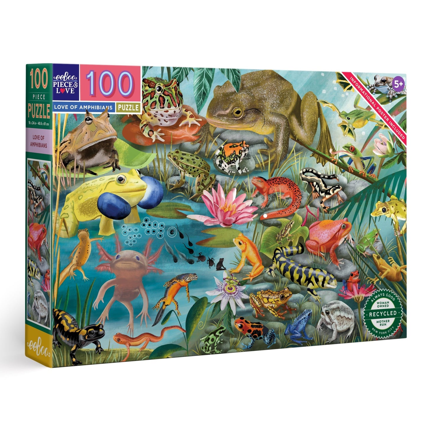 Love of Amphibians 100 Piece Puzzle by eeBoo | Unique Fun Gifts