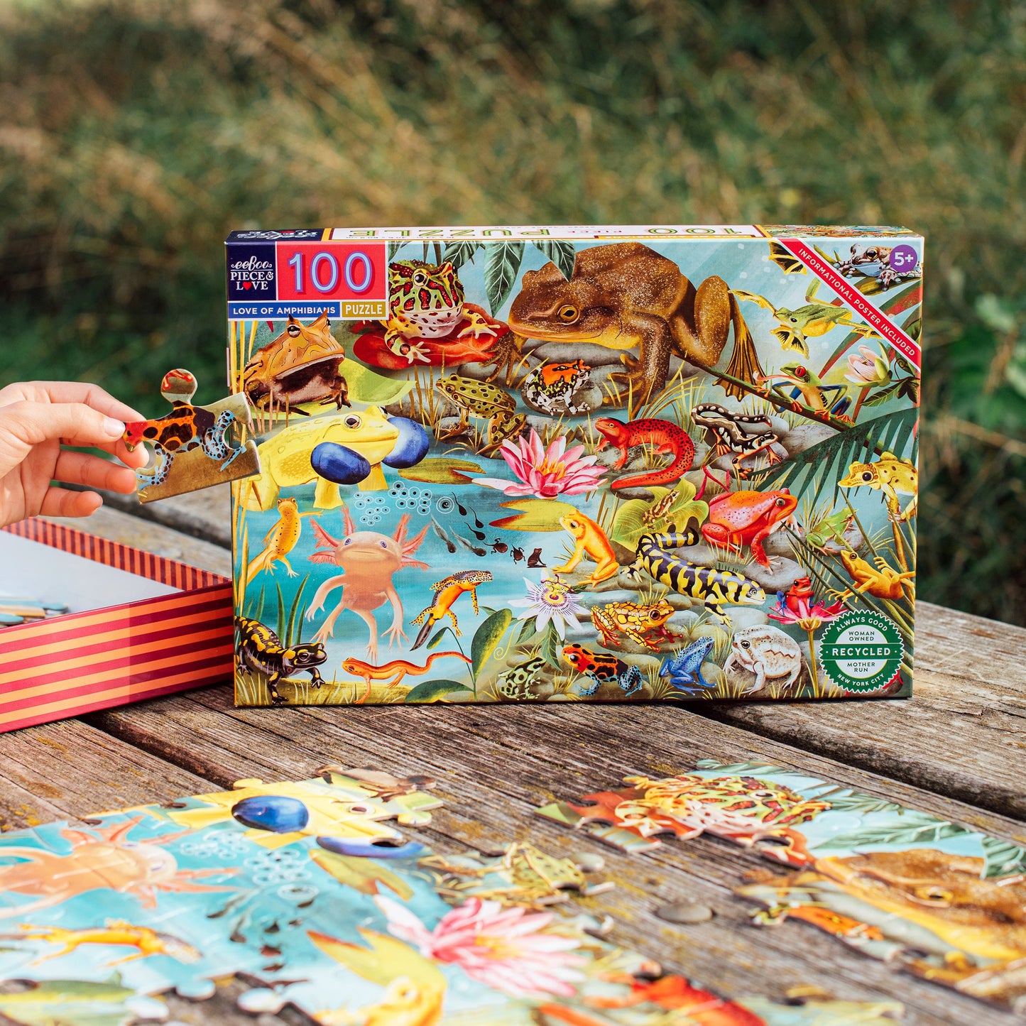 Love of Amphibians 100 Piece Puzzle by eeBoo | Unique Fun Gifts