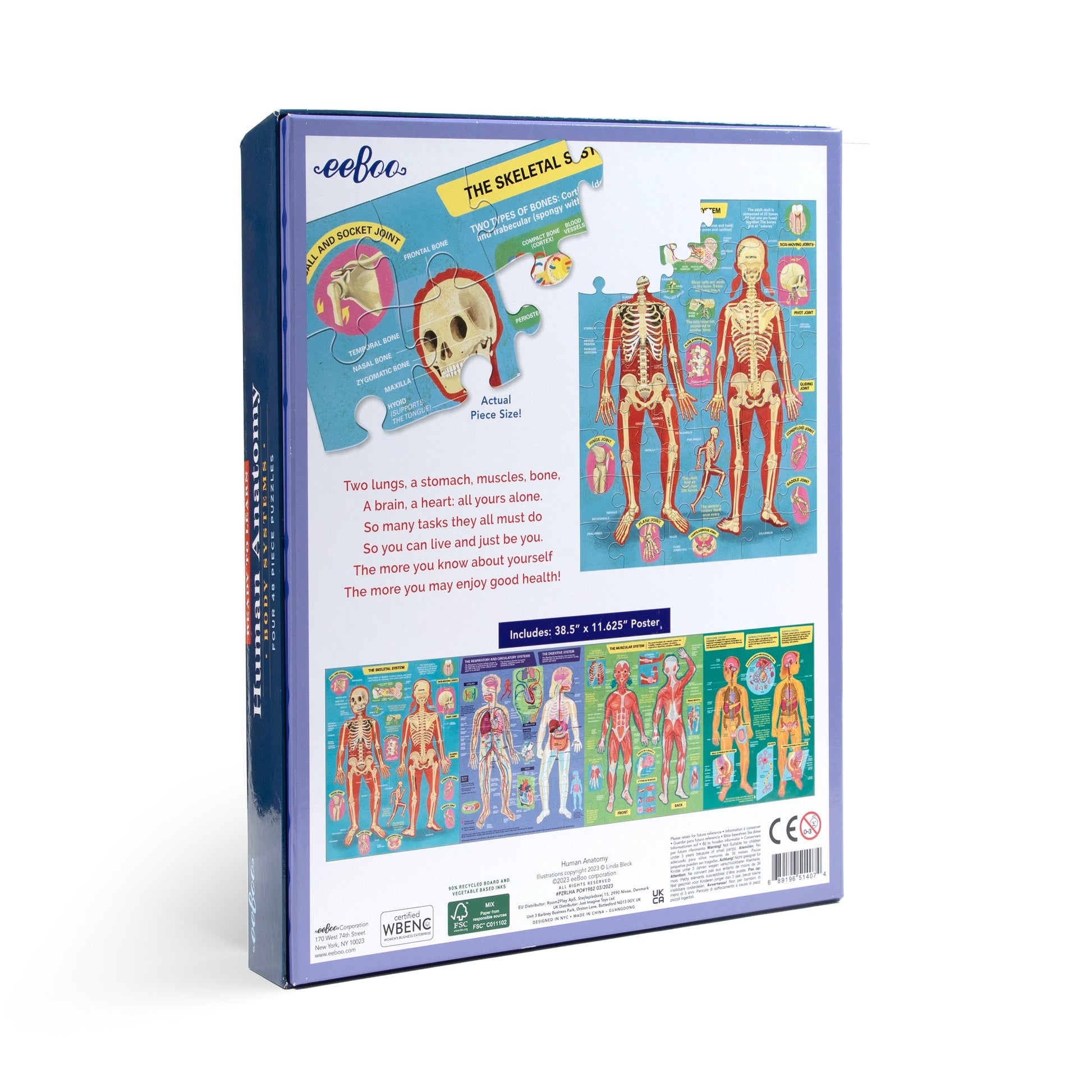 Human Anatomy 4-Puzzle 48 Piece Set | Unique Great Educational Gifts for Kids 4+