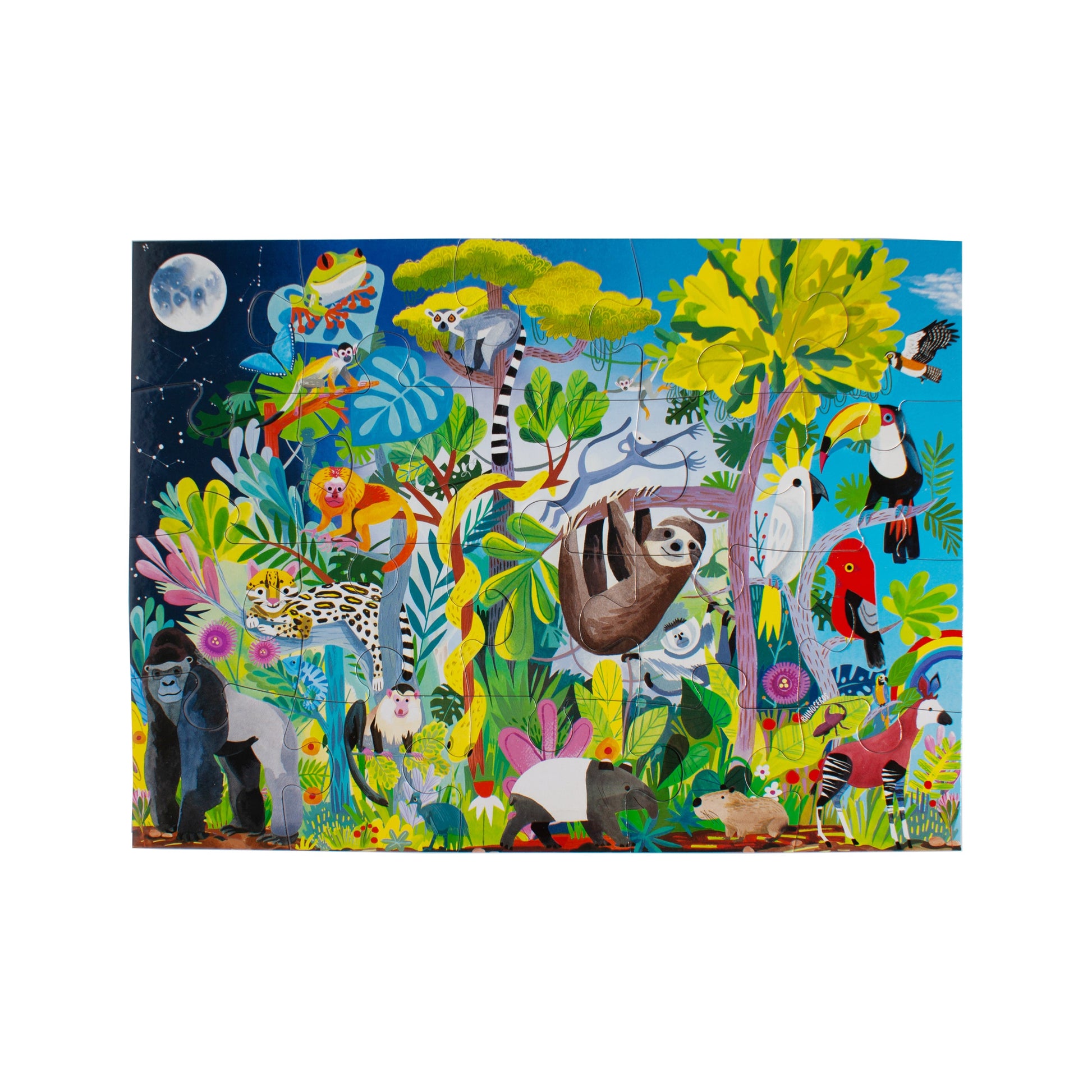 Rainforest Animal Life 20 Piece Jigsaw Puzzle | eeBoo | Makes a Great Gift for Pre-School Kids 3+