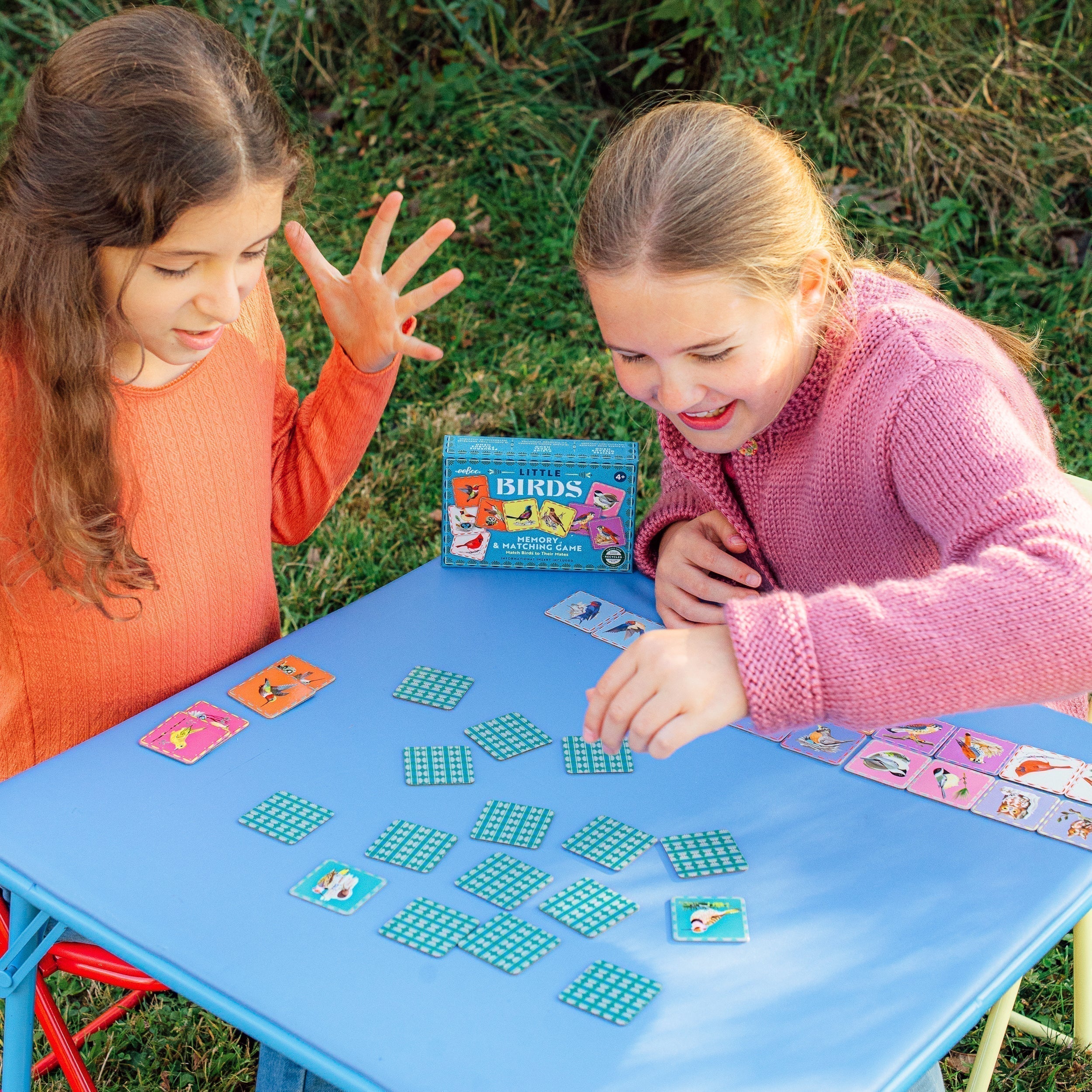 Celebrating the International Day of Play eeBoo