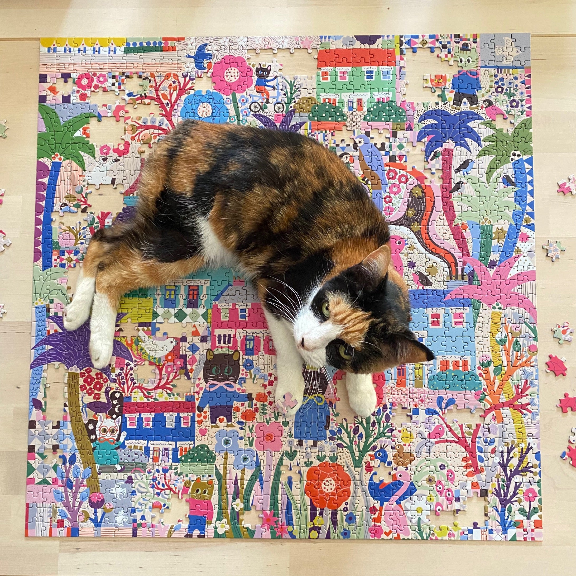 Cat Puzzles eeBoo