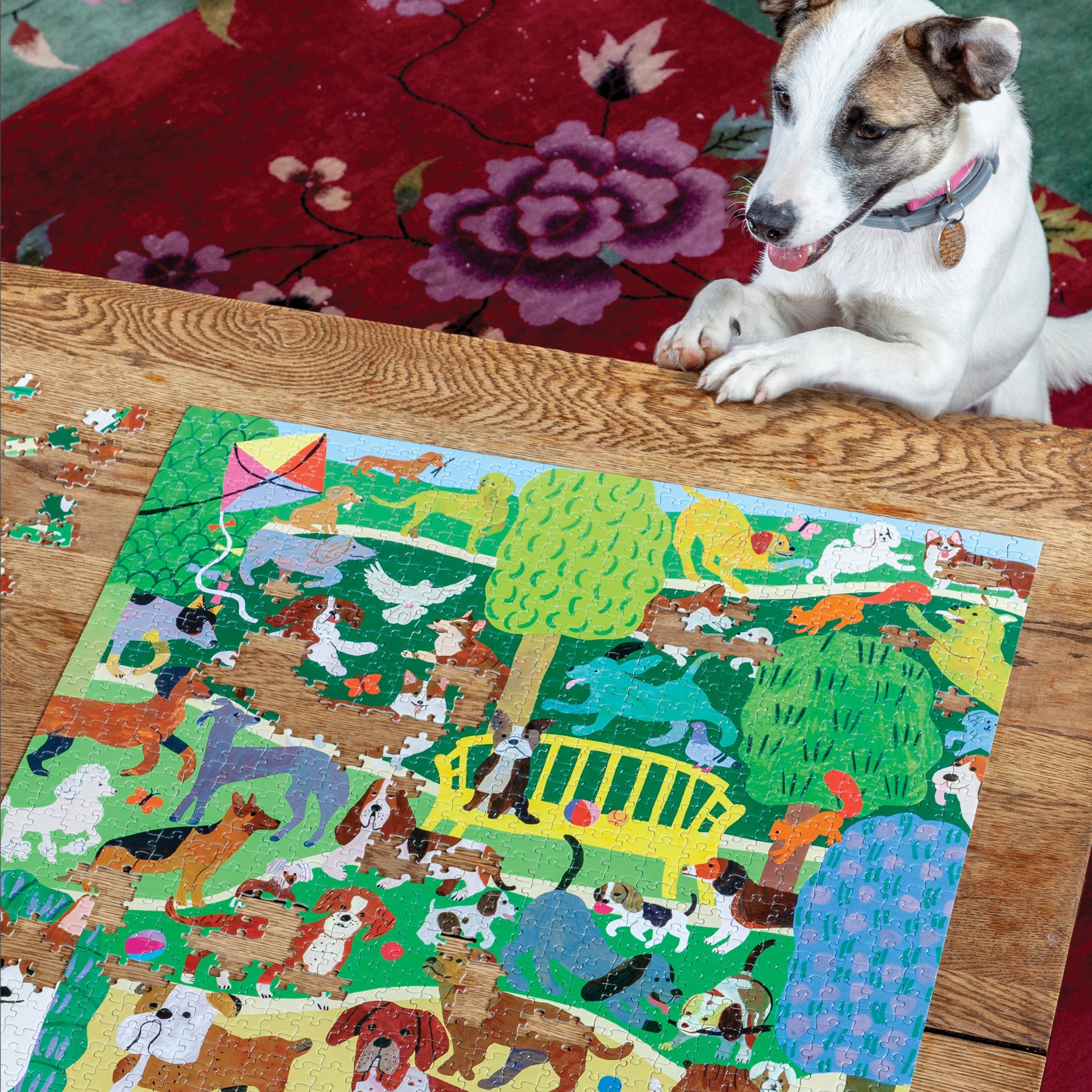 dog puzzle