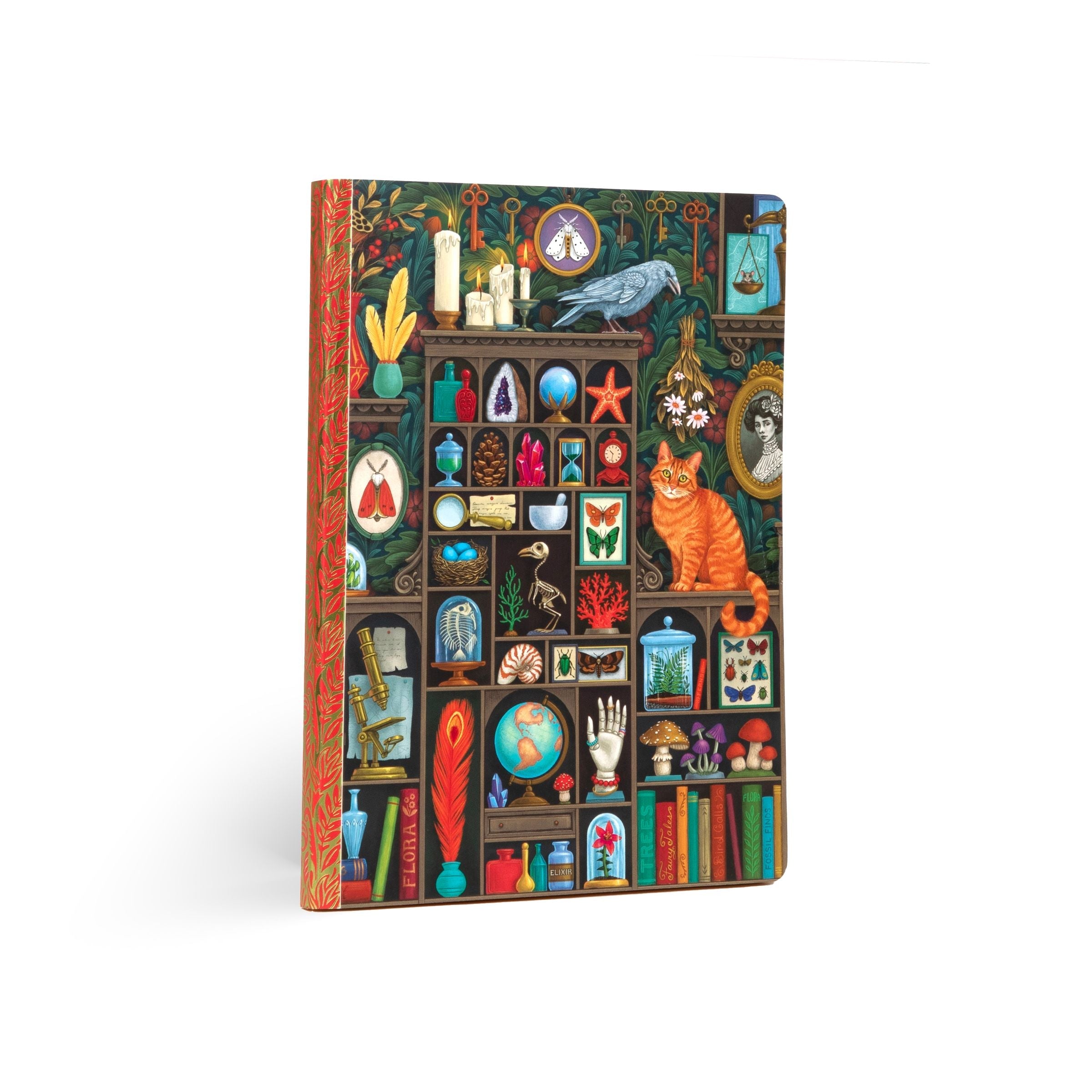Alchemist's Cabinet Luxe Journal by eeBoo | Unique Beautiful Gifts