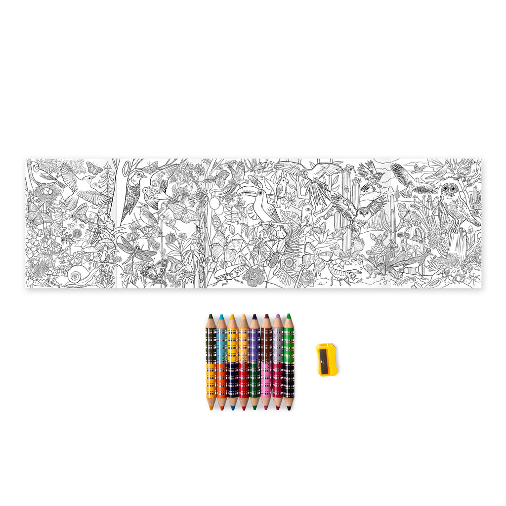 Bird & Butterfly Mini Mural Color Pencils by eeBoo | Gifts for Age 4+