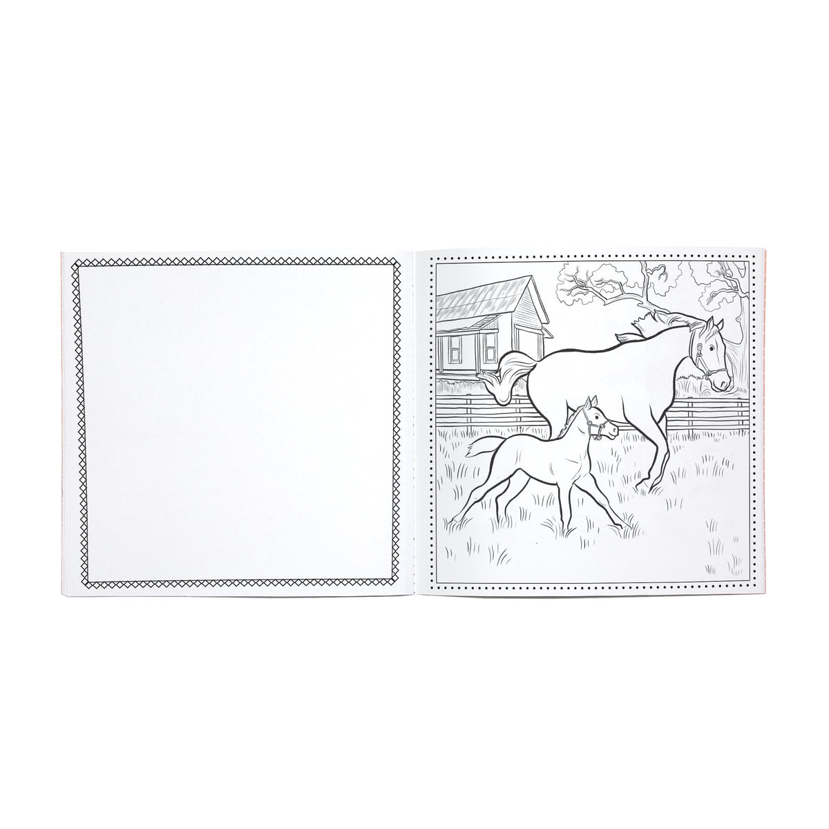 Farm Square Coloring Book