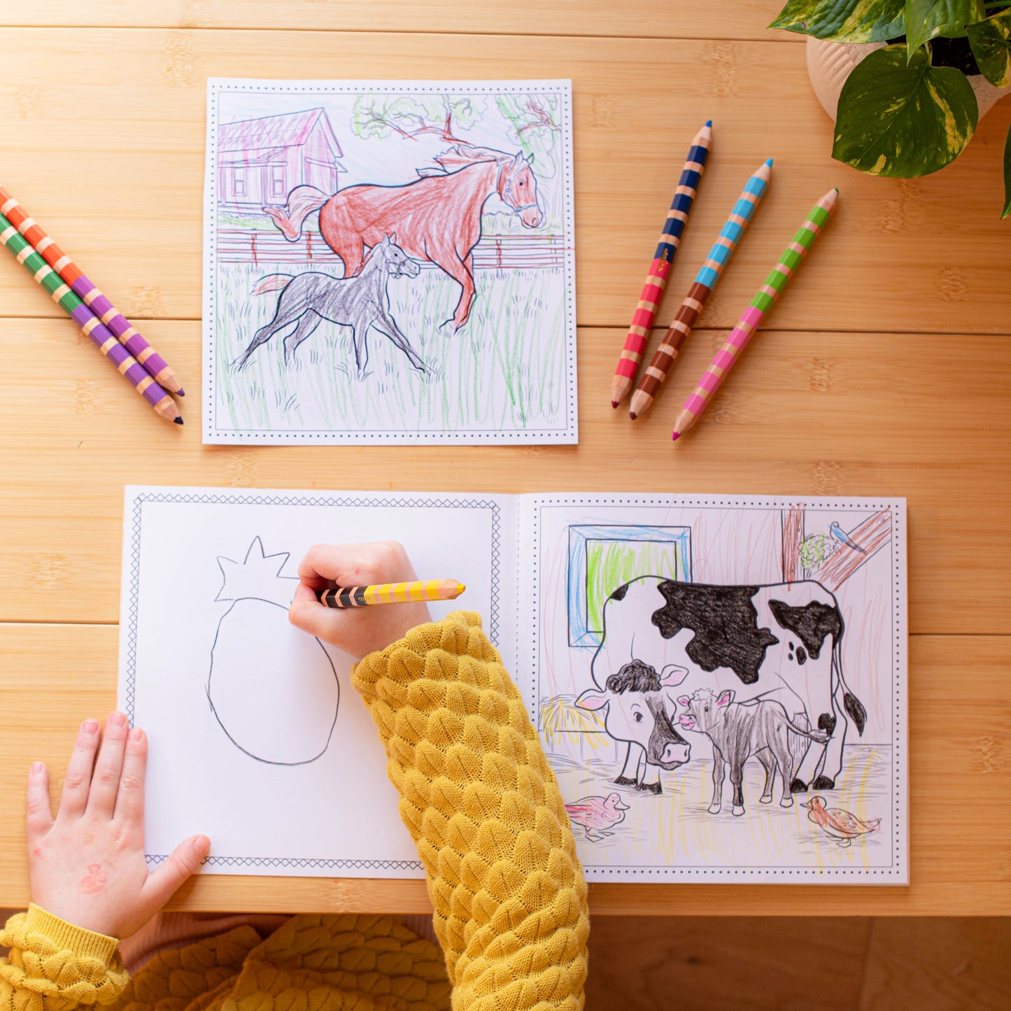 Square Coloring Books