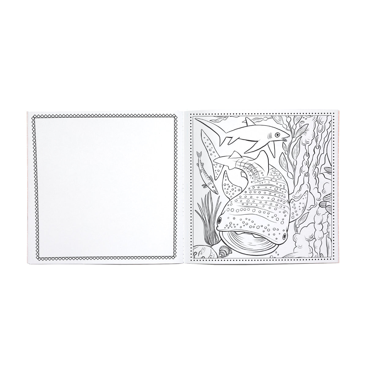 Sea Life Square Coloring Book