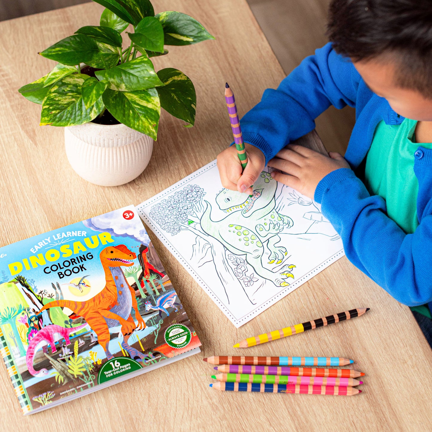 Square Coloring Books