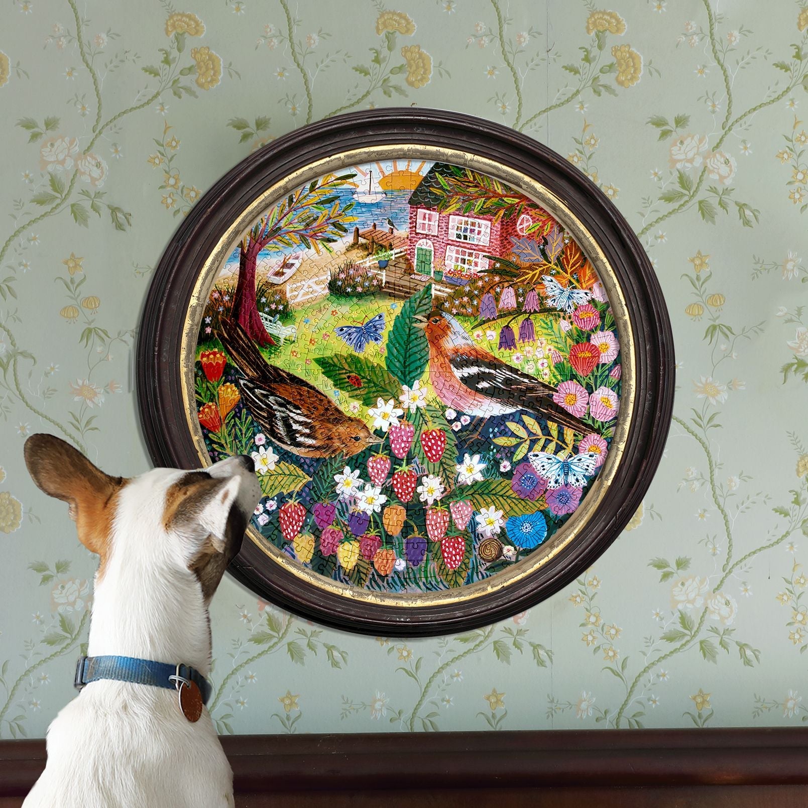 Dog looking at a colorful framed artwork of chickens and flowers on a floral wallpapered wall.