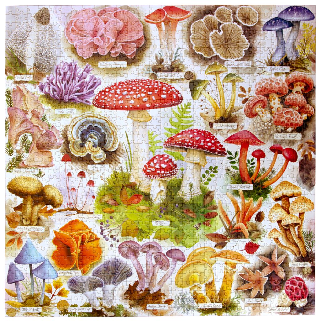 Illustration of various mushrooms with labels. Bountiful Mushrooms 1000 Piece Puzzle