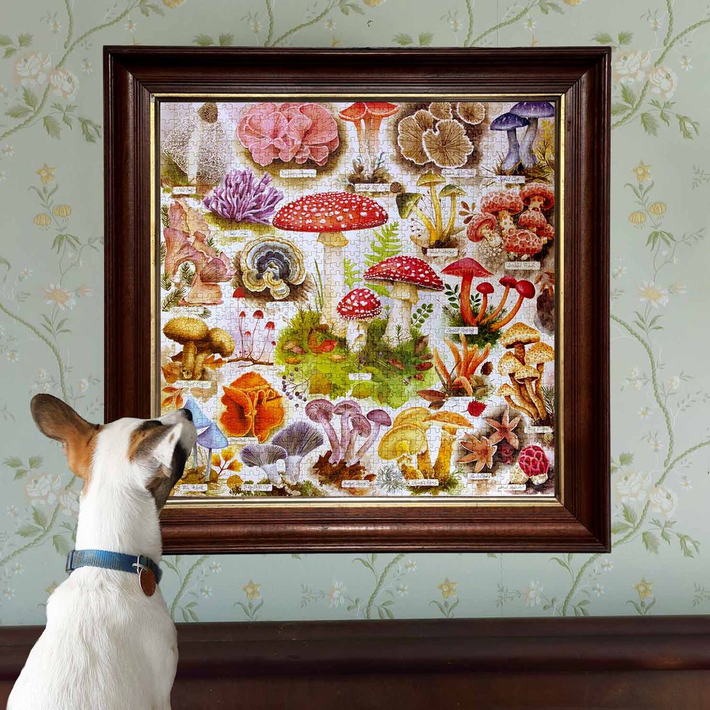 Dog looking at a framed illustration of various mushrooms on a floral wallpapered wall.