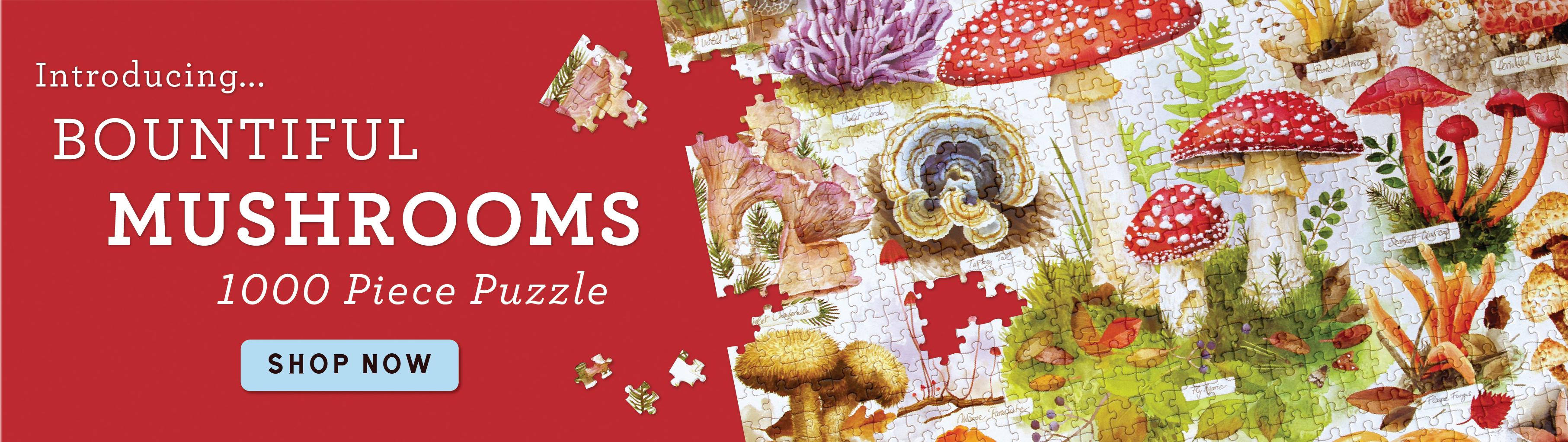 -_Bountiful_Mushrooms_March