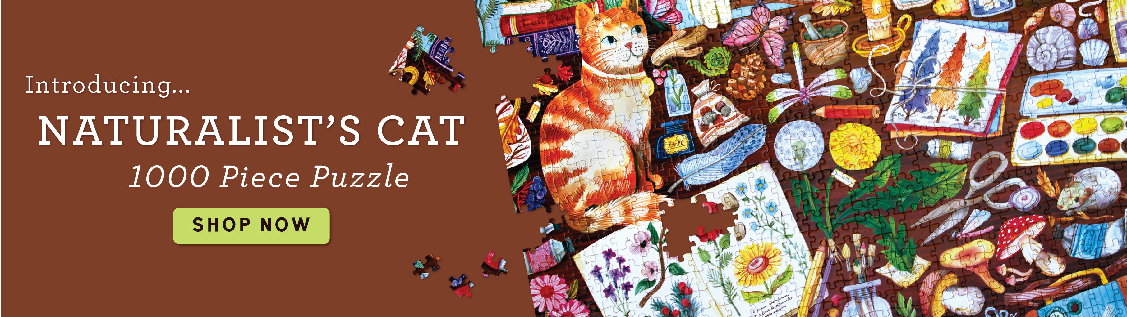 -_Naturalist_s_Cat__March