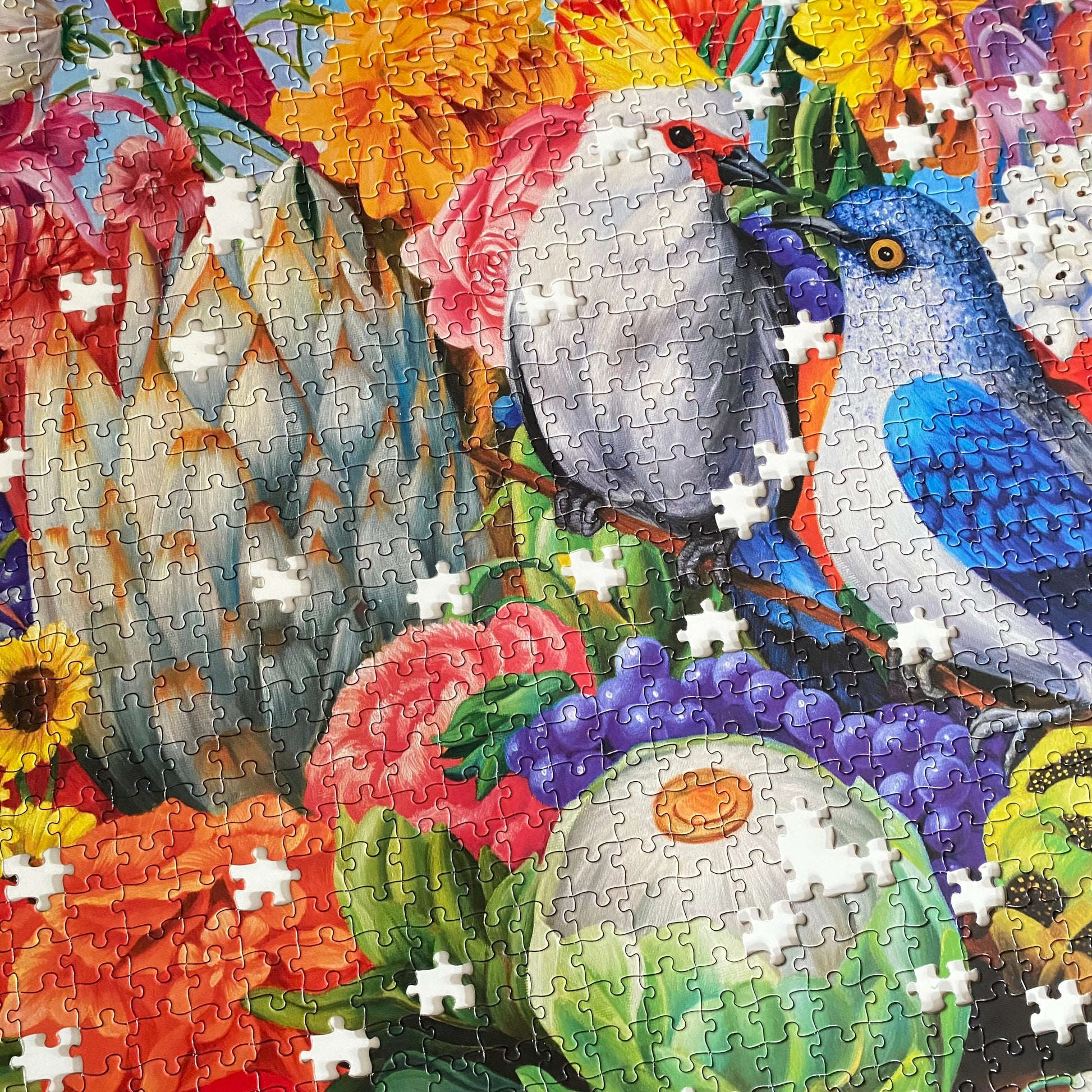 Magical Fruits& Birds 1000 Piece Jigsaw Puzzle by eeBoo | Unique Fun Gifts