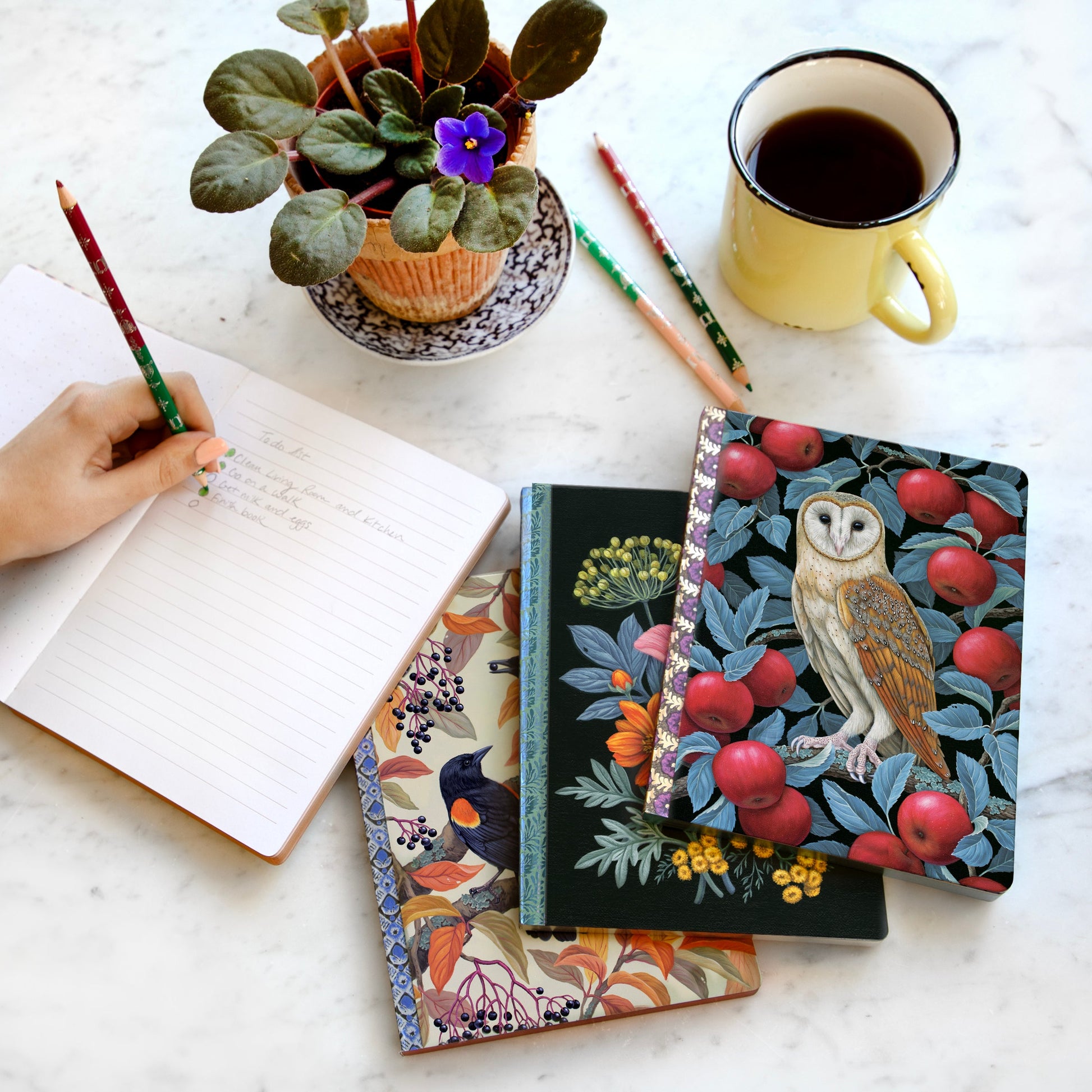 Barn Owl Journal by eeBoo | Unique Fun Gifts