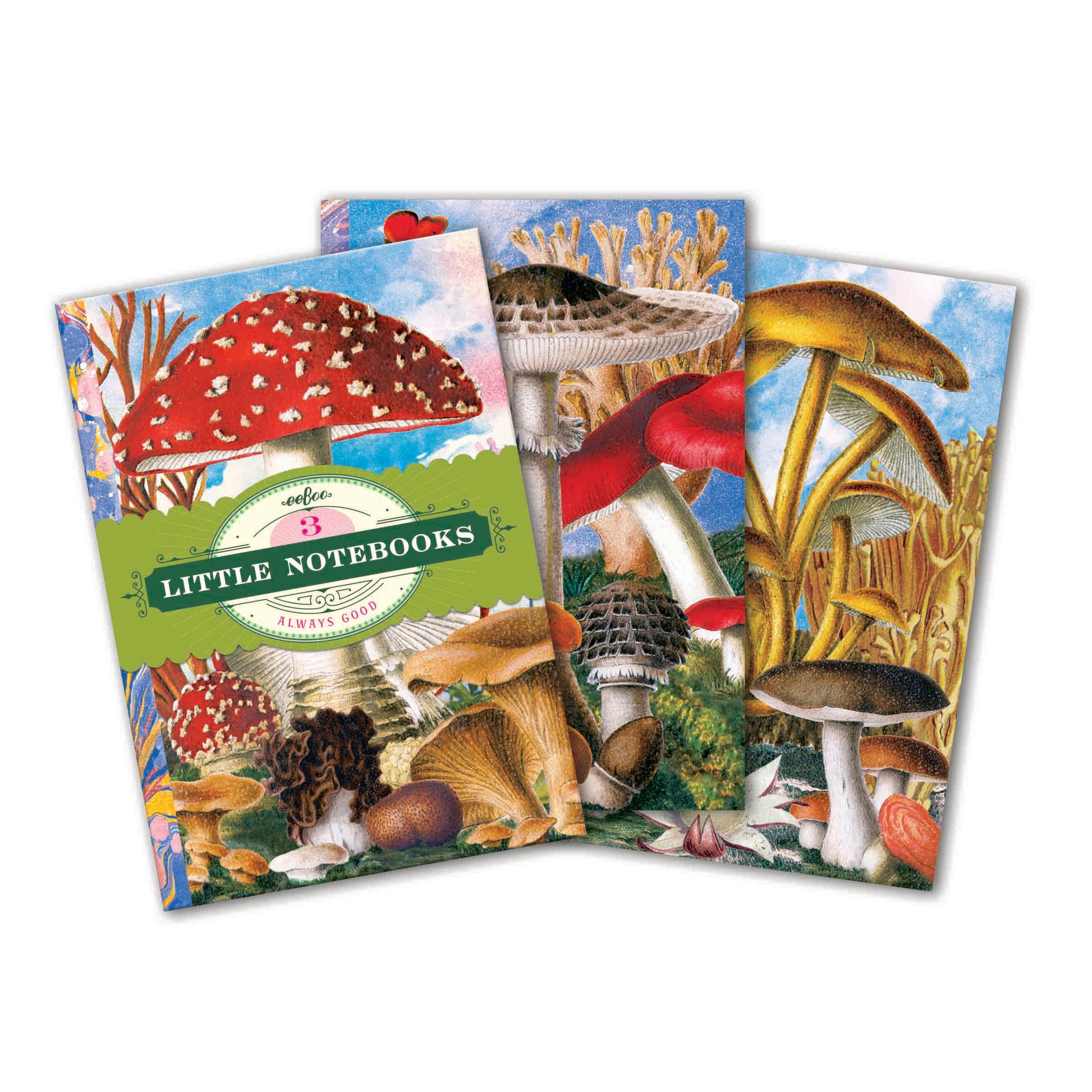 Fumiha's Mushroom Little Book Set by eeBoo | Unique Fun Gifts