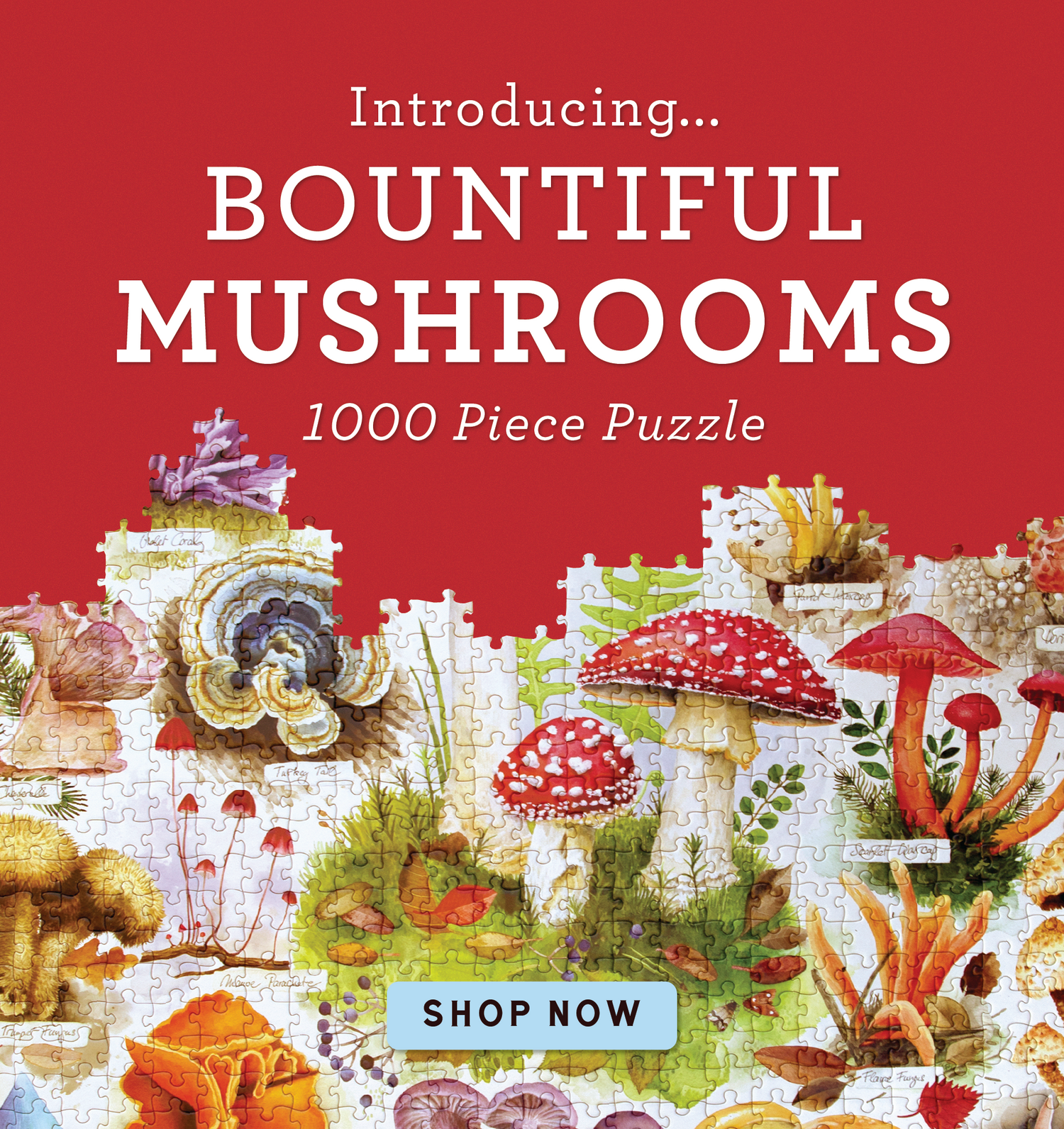 -_Bountiful_Mushrooms_March