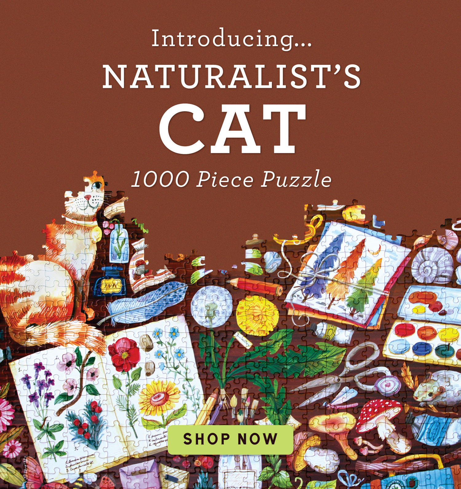 -_Naturalist_s_Cat__March