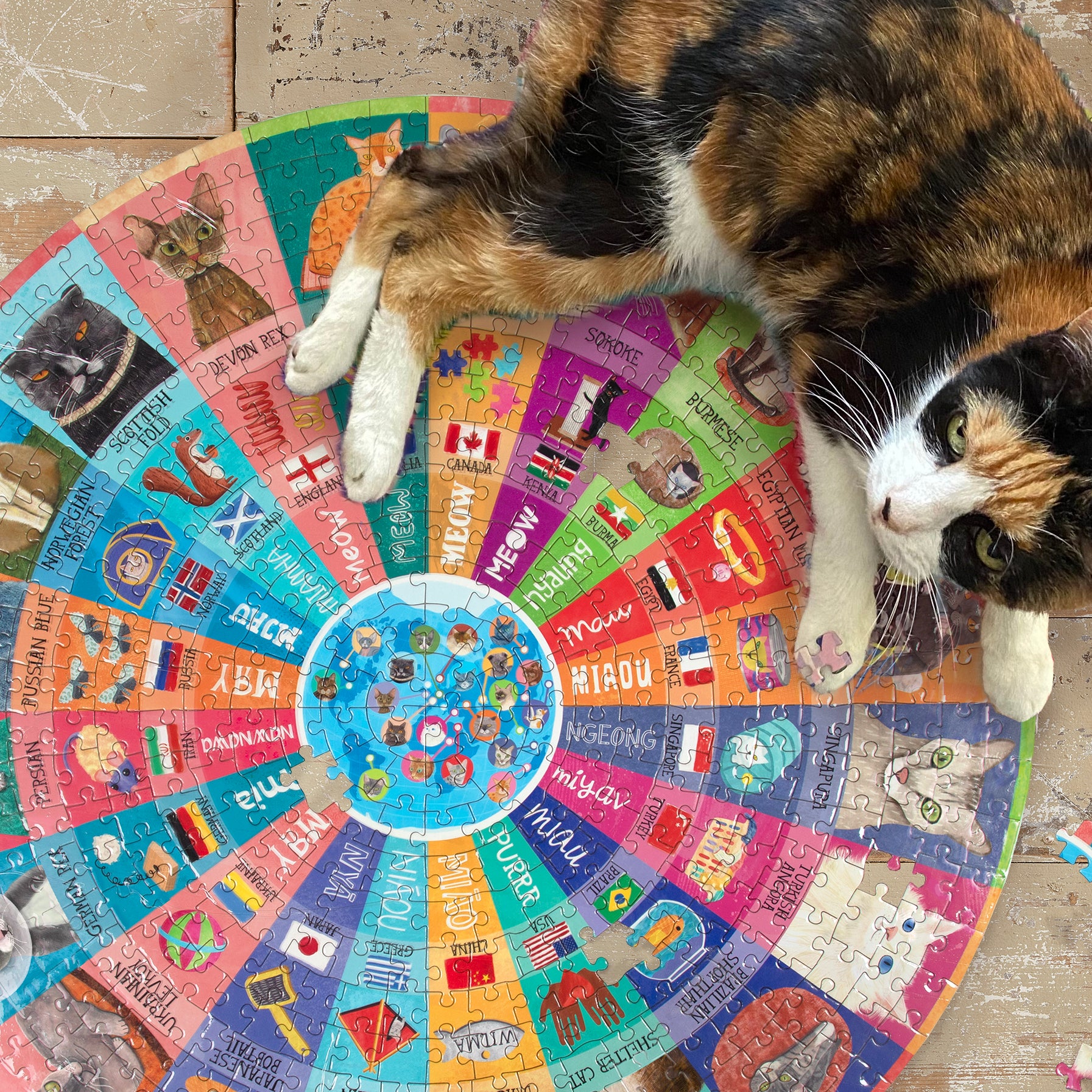 Cats of the World 500 Piece Round Jigsaw Puzzle | Unique Fun Gifts for Cat Lovers