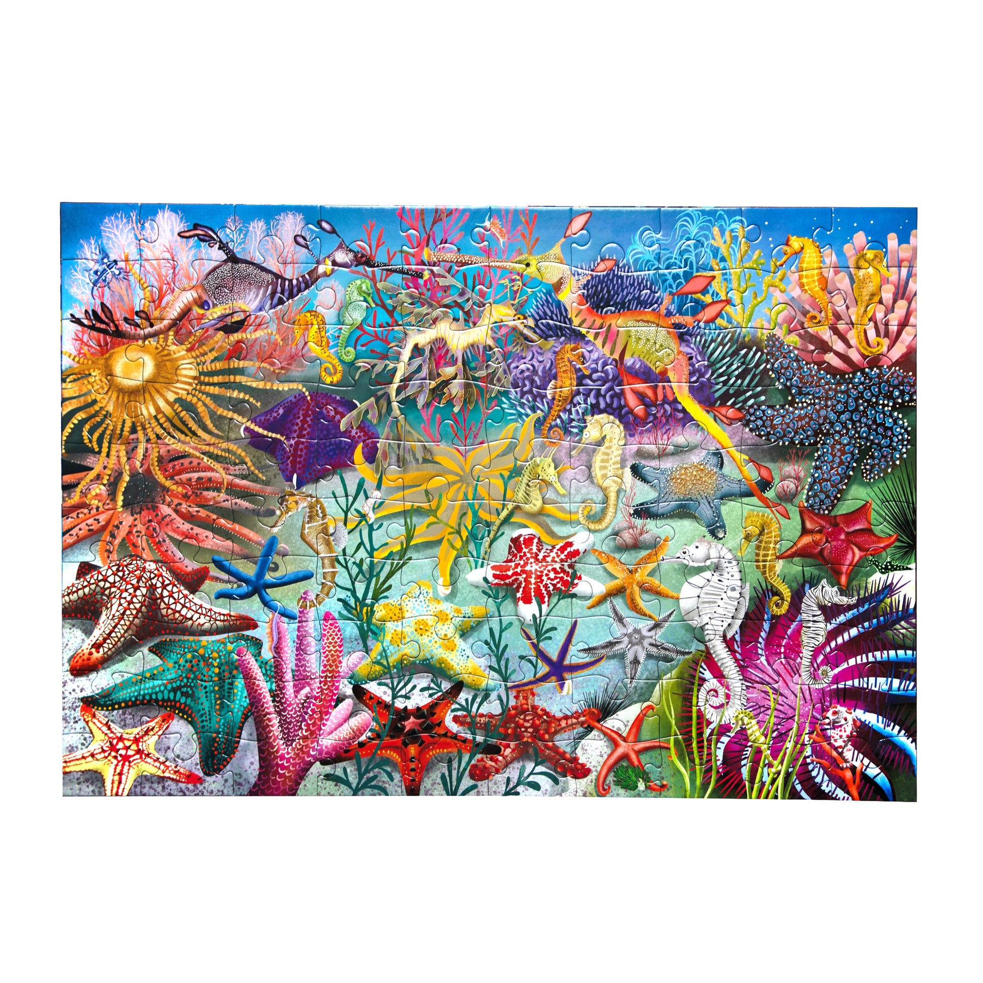 Seahorses, Sea Stars & Sea Slugs 100 Pc Jigsaw Puzzle by eeBoo | Unique Fun Gifts