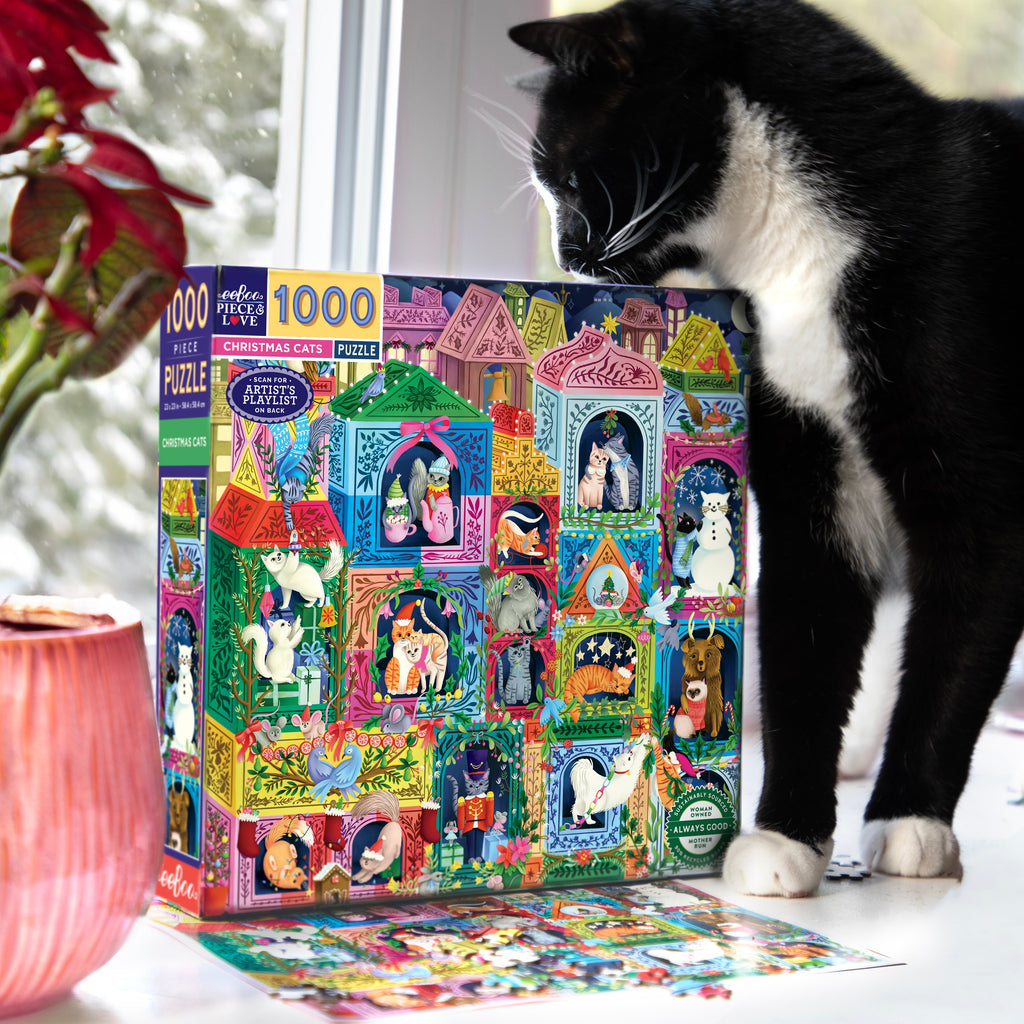 Cat interacting with a colorful puzzle box featuring cat-themed illustrations.