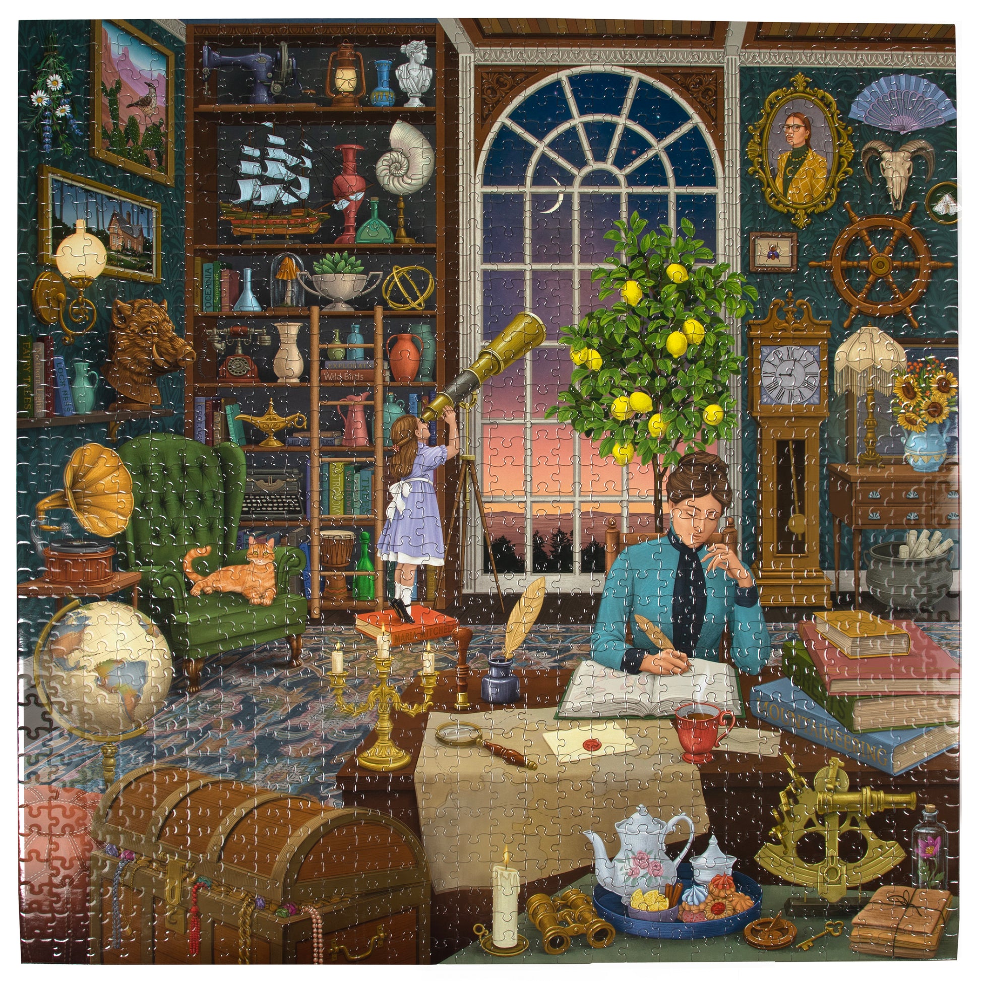 Puzzle 1000 pièces - Bibliothèque - D-Toys