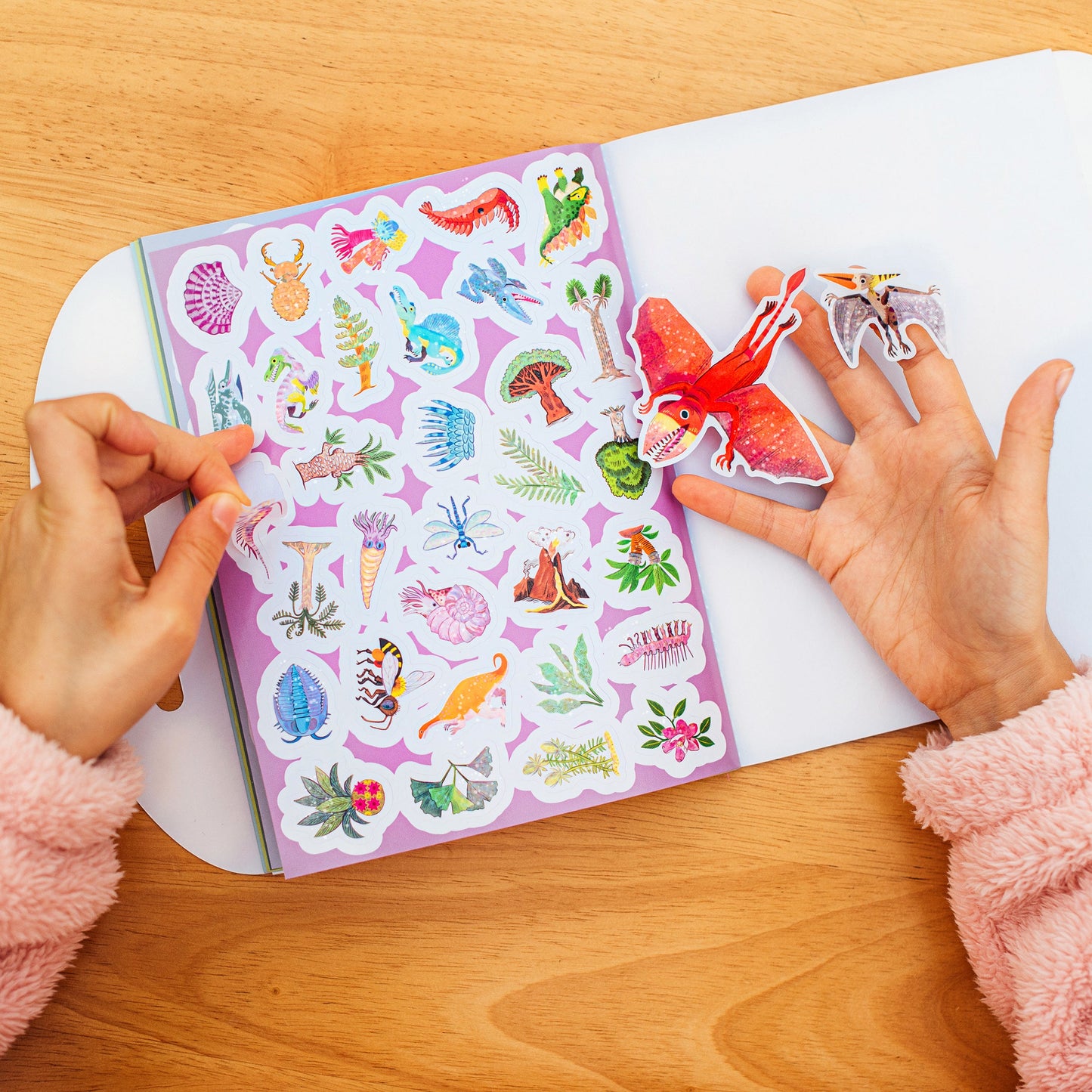 Sticker Books