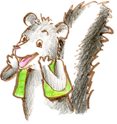 Skunk  illustration