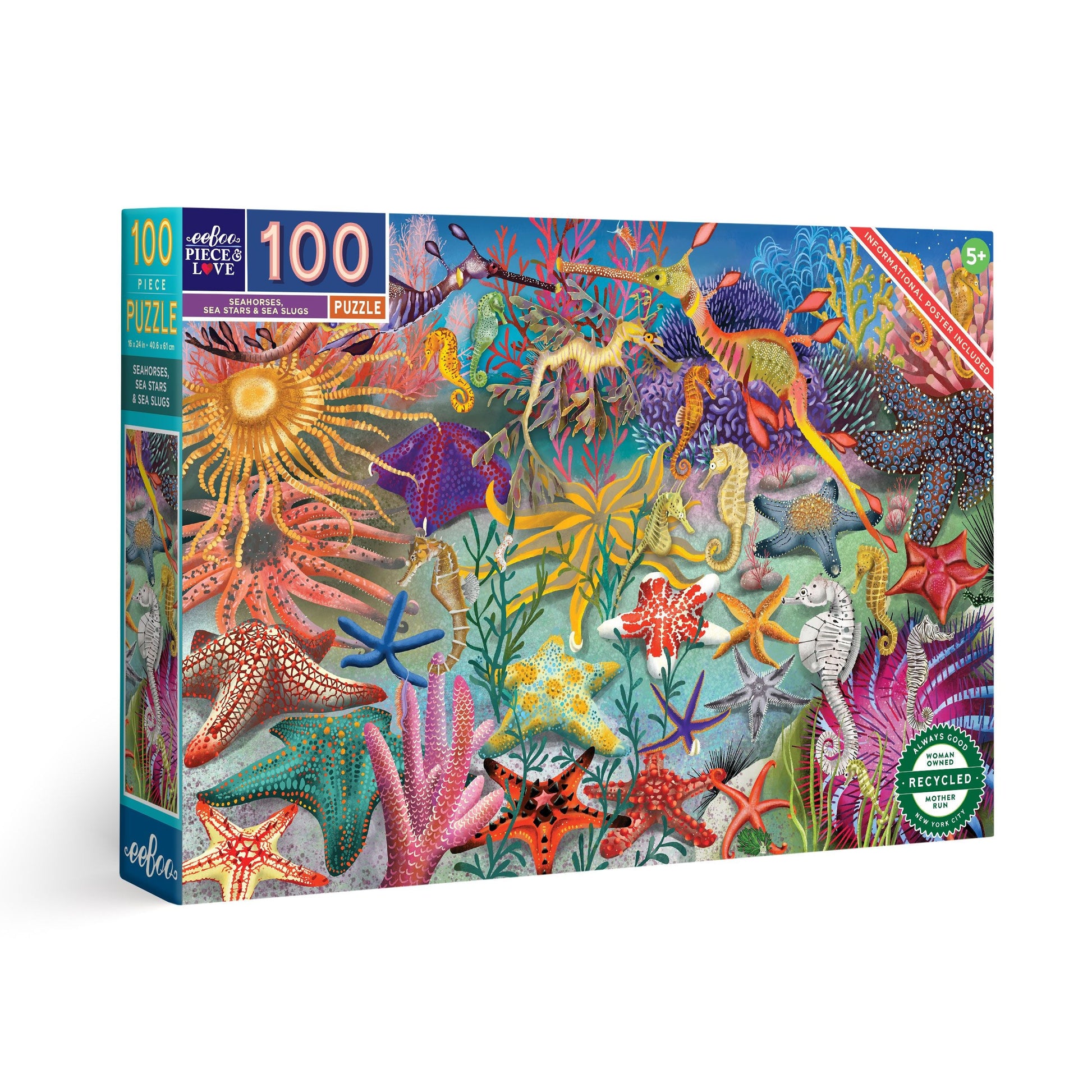 Seahorses, Sea Stars & Sea Slugs 100 Pc Jigsaw Puzzle by eeBoo | Unique Fun Gifts