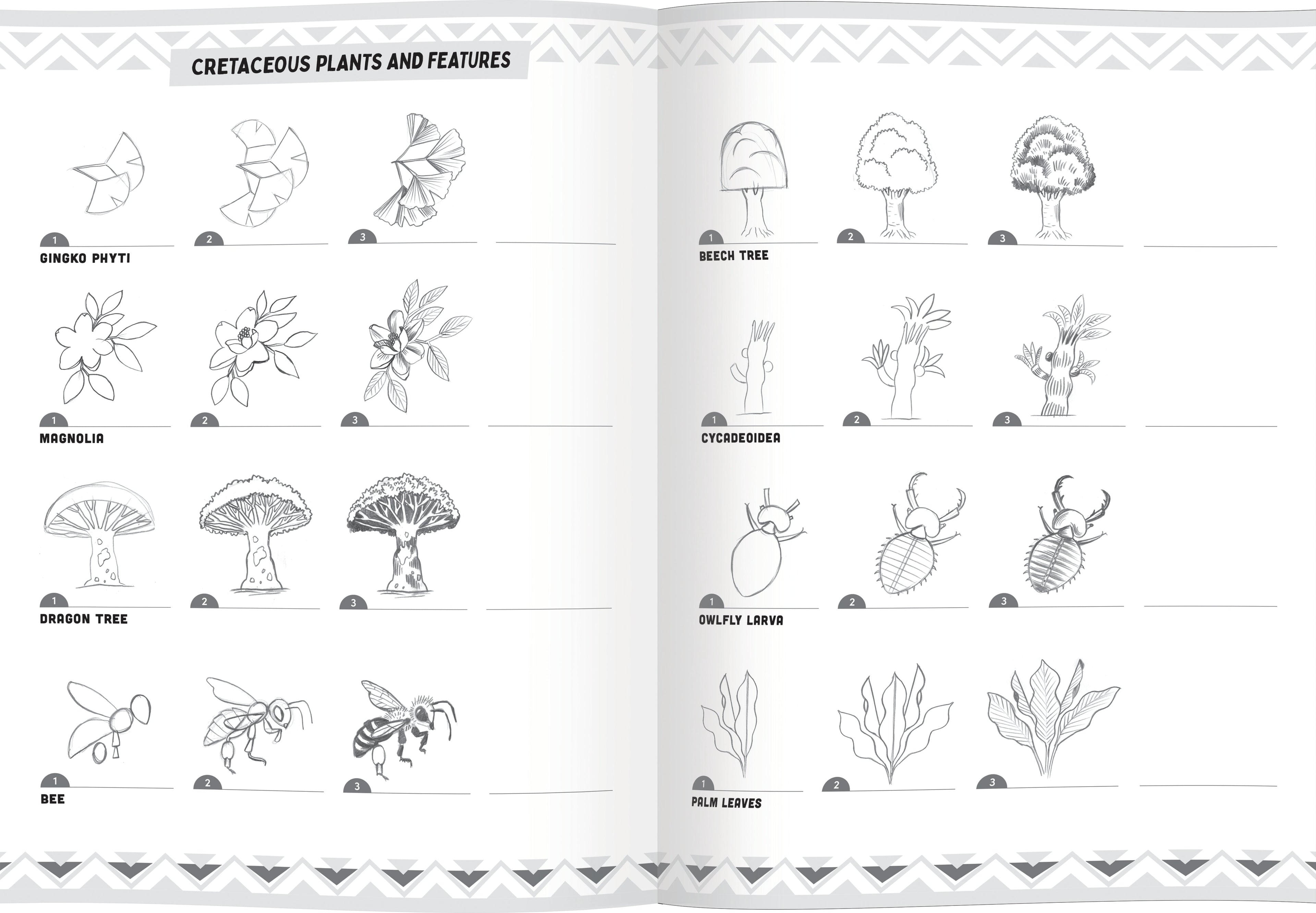 Learn to Draw Dinosaurs by eeBoo | Unique Fun Gifts