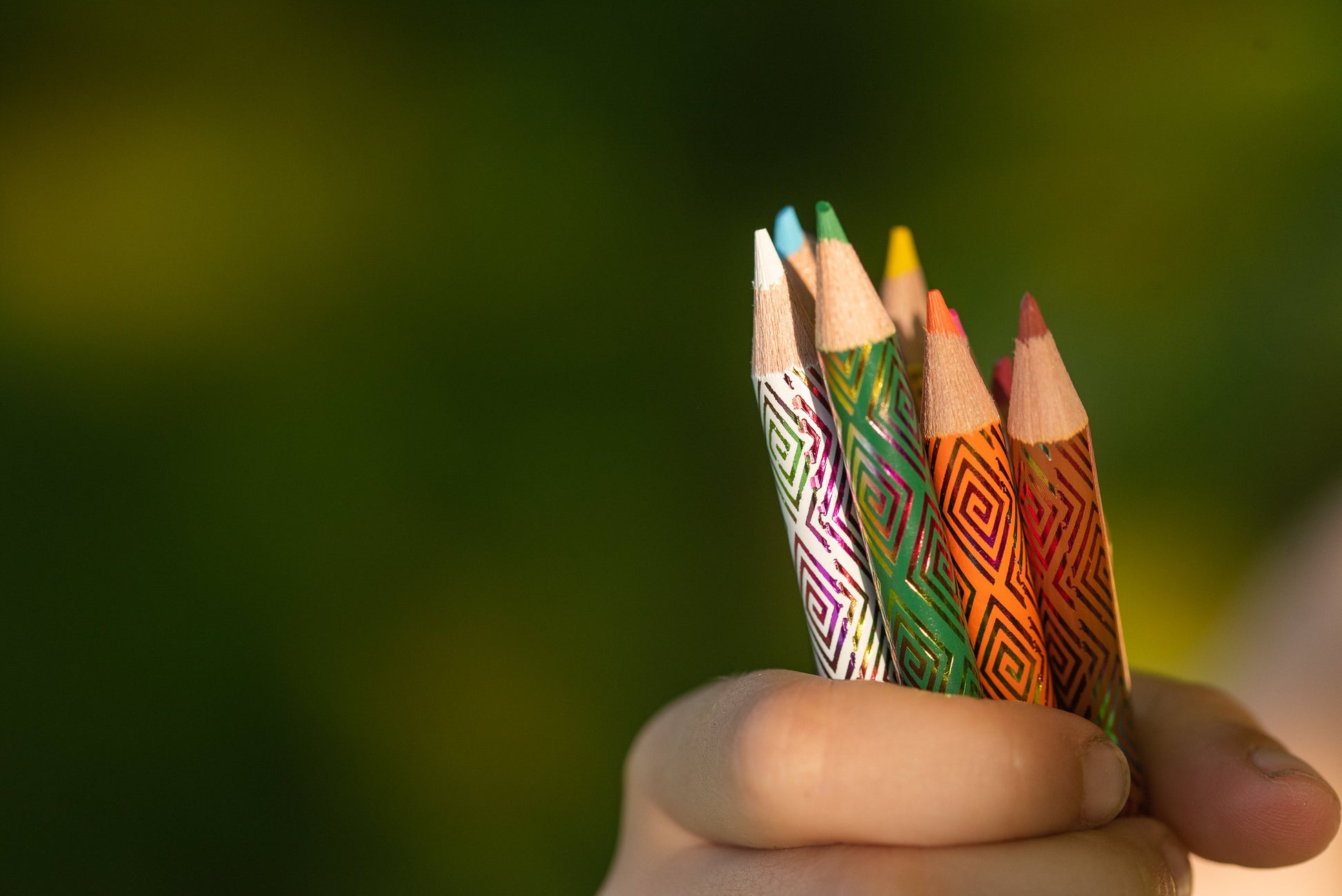 Small Pencils Dino Assortment |  Gifts by eeBoo