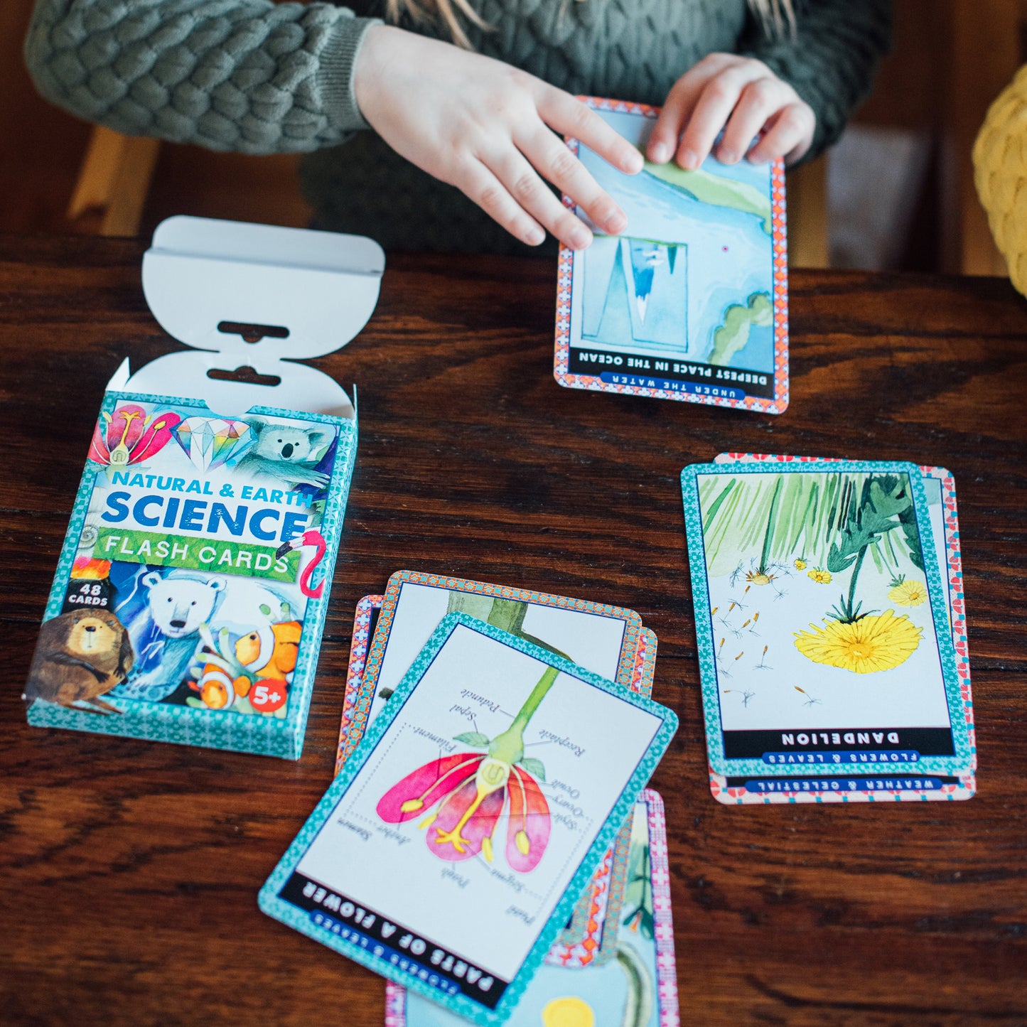 Natural and Earth Science Educational Flash Cards by eeBoo for Kids 5+