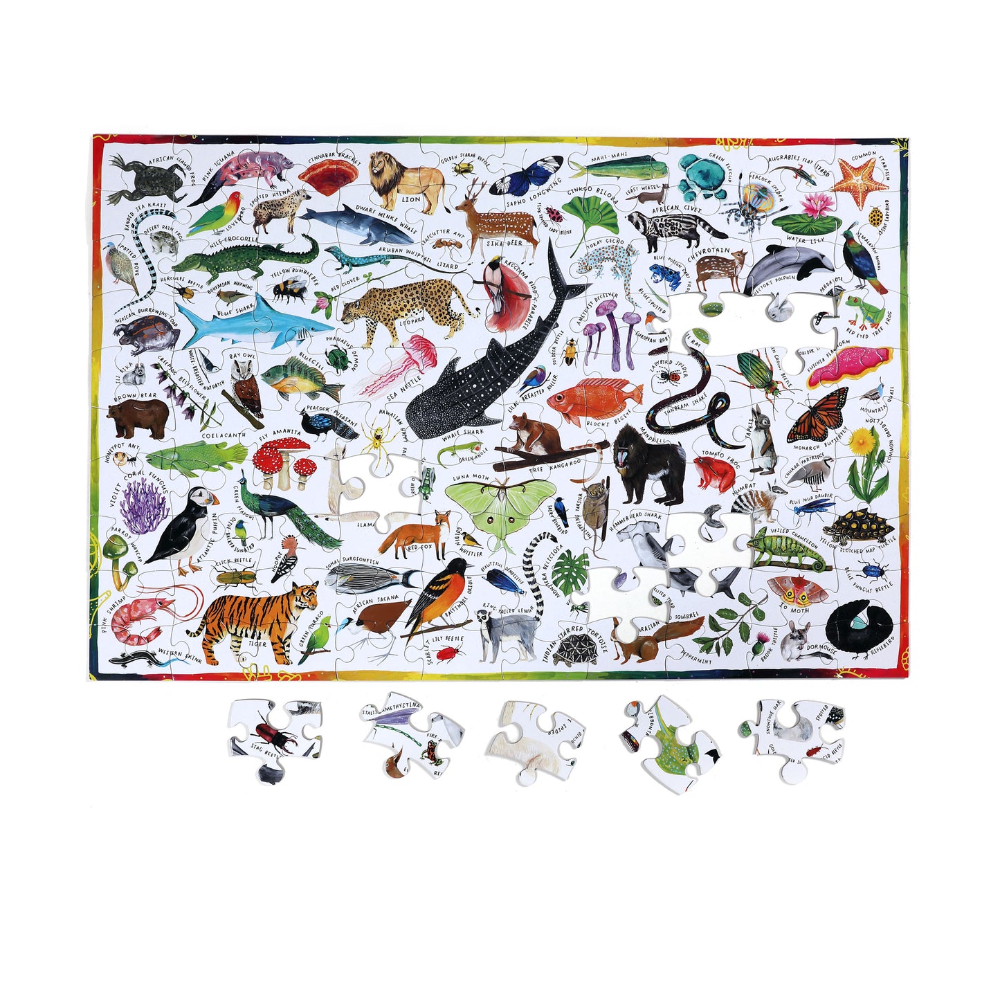 Puzzle 100 pièces - sciences naturelles - 5 ans - Eeboo