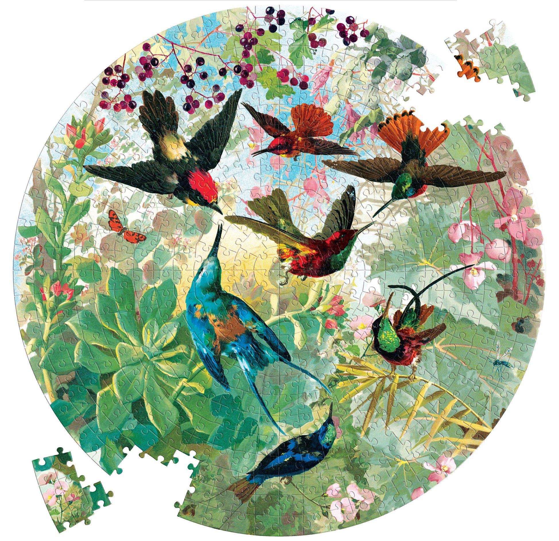 Hummingbirds and Succulents 500 Piece Round Puzzle eeBoo