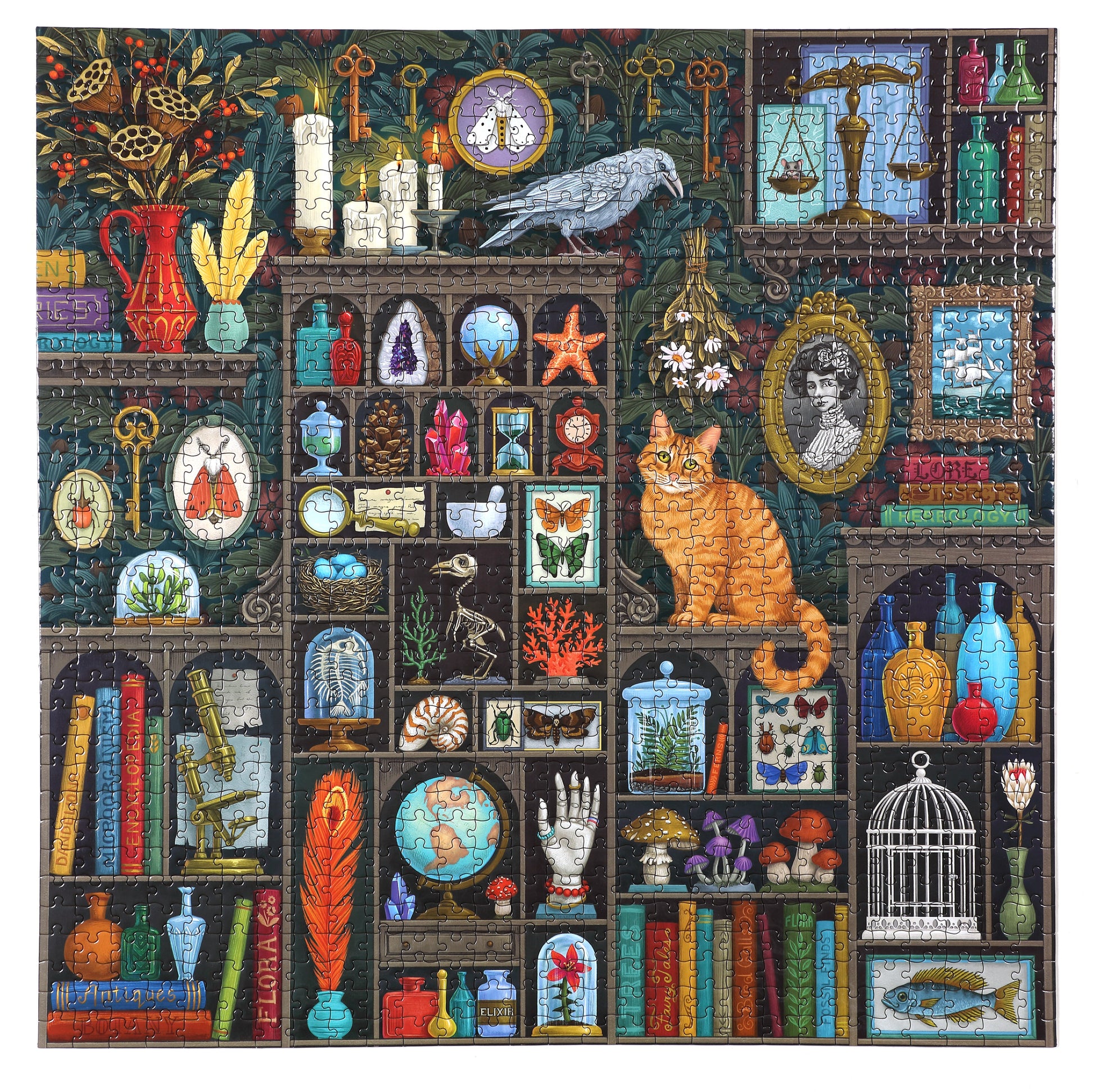 Alchemist's Cabinet 1000 Piece Jigsaw Puzzle | eeBoo Piece & Love | Makes a Great Gift