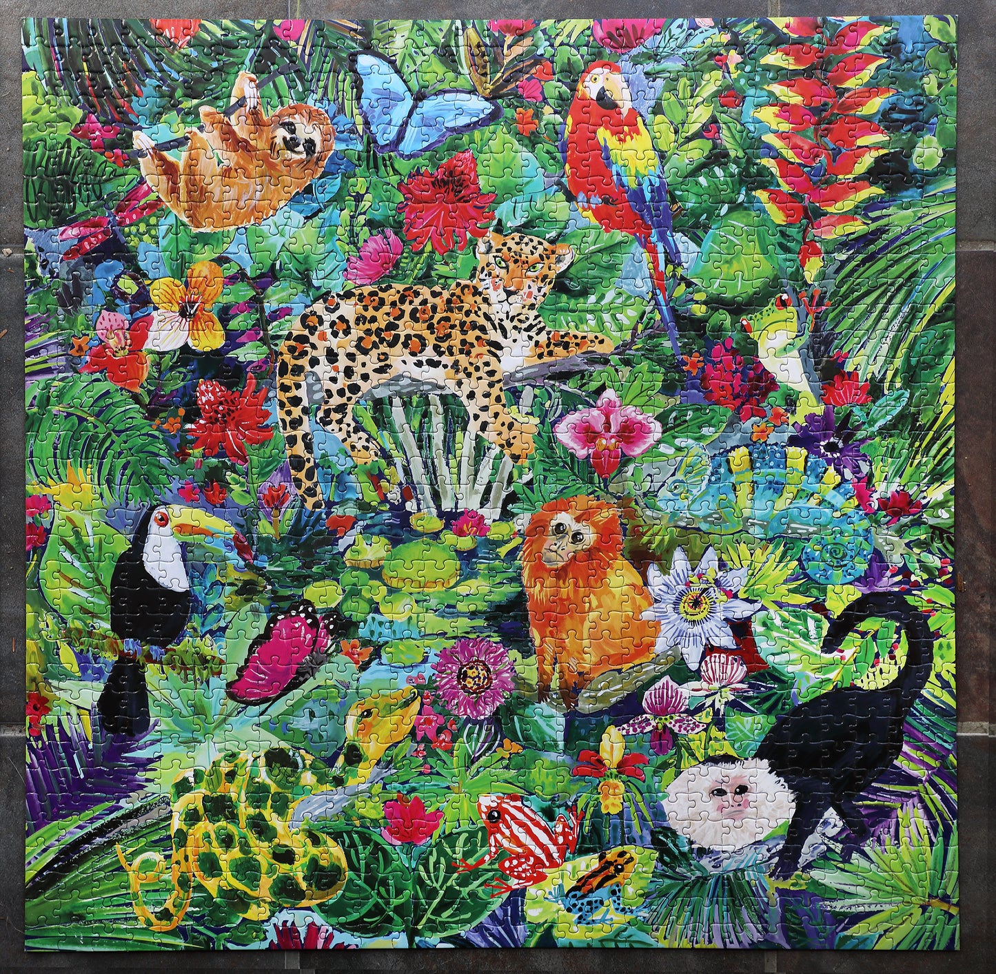 Amazon Animal Rainforest 1000 Piece Jigsaw Puzzle | eeBoo Piece & Love | Great Gift for Animal Lovers