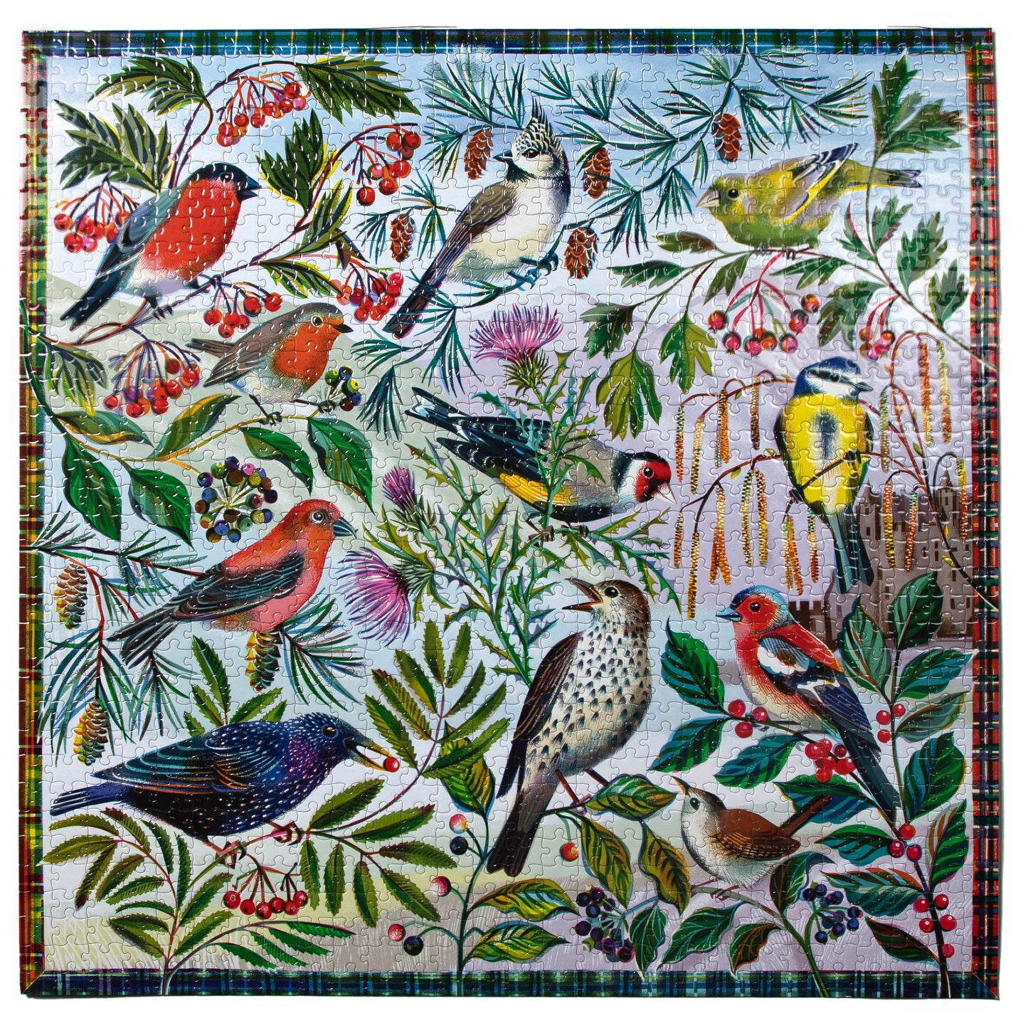 Birds of Scotland 1000 Piece Jigsaw Puzzle | Beautiful Unique Gifts for Adults | Sustainable Puzzles made with Recycled Materials