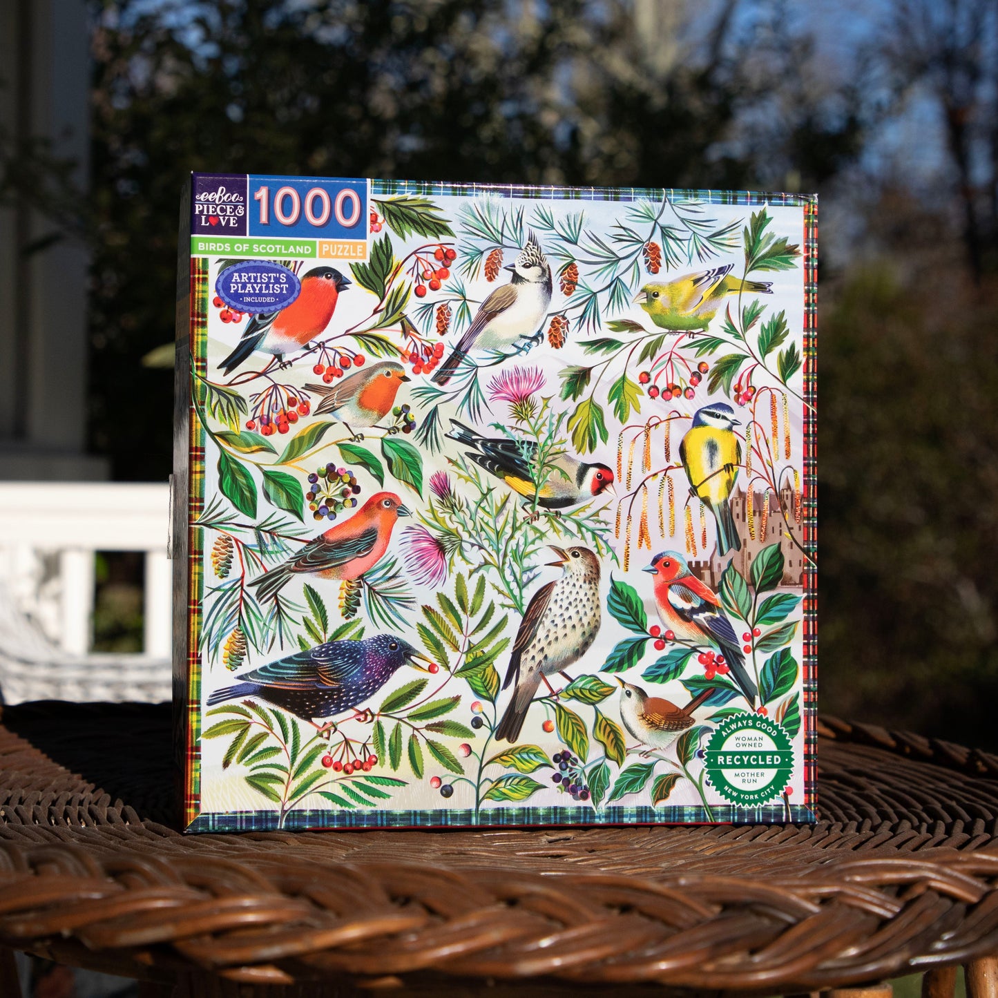 Birds of Scotland 1000 Piece Jigsaw Puzzle | Beautiful Unique Gifts for Adults | Sustainable Puzzles made with Recycled Materials