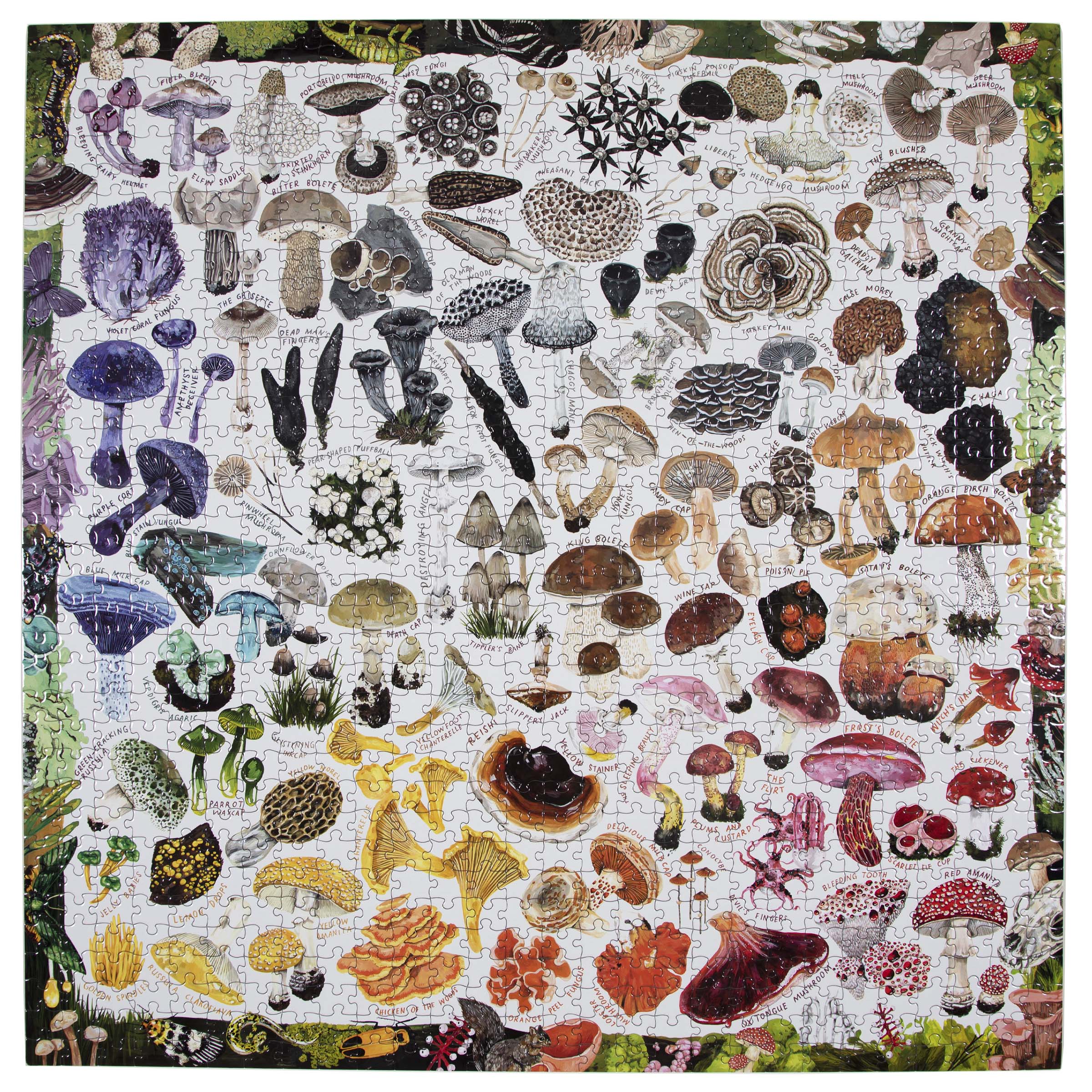 Mushroom Rainbow 1000 Piece Square Jigsaw Puzzle eeBoo | Gifts for Forest Foragers and Fungi Lovers